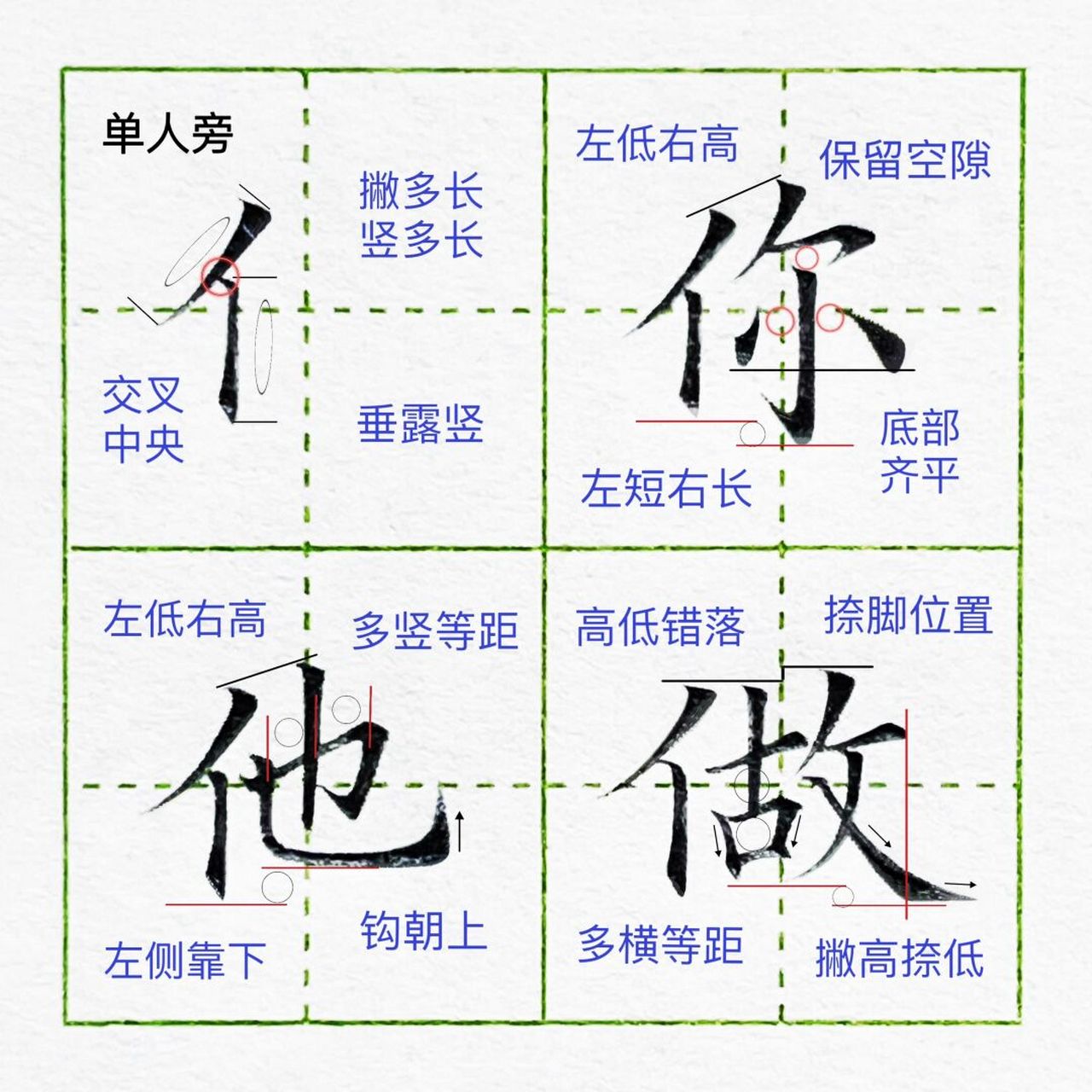 撇多长竖多长.很多人书写单人旁,容易把撇写短了竖写长了,我们要避免.