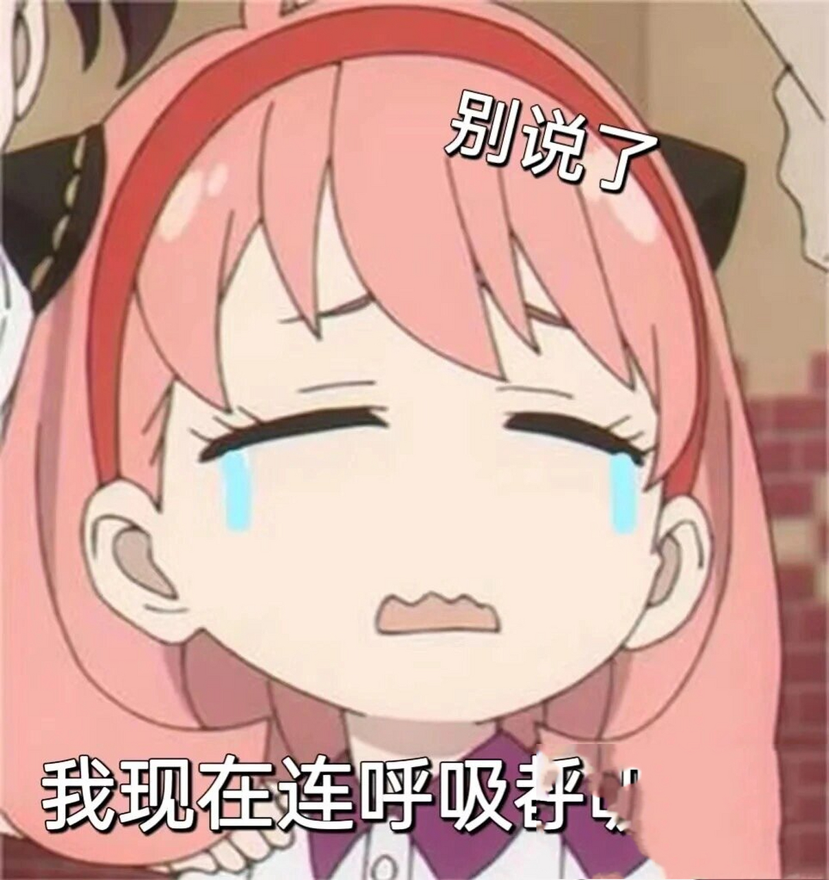 表情包