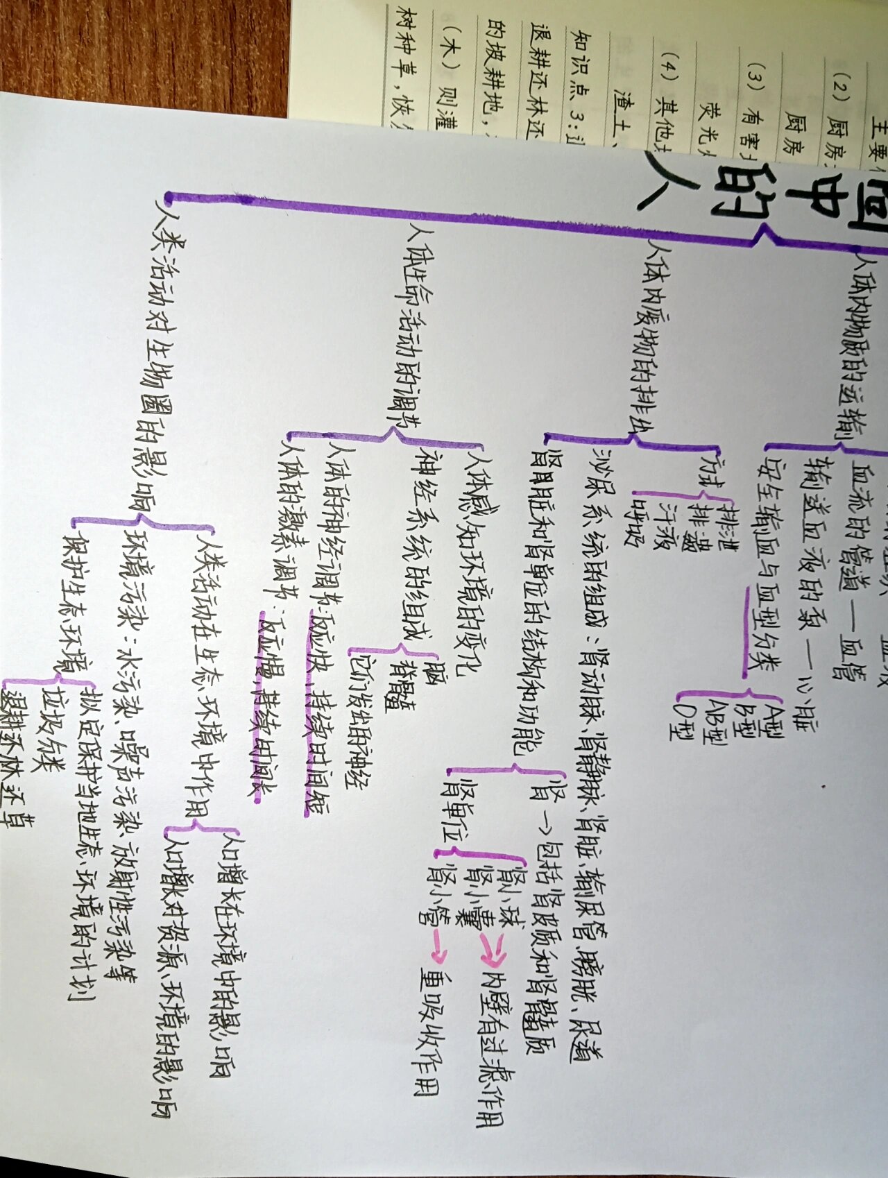 初中生物第四单元思维导图