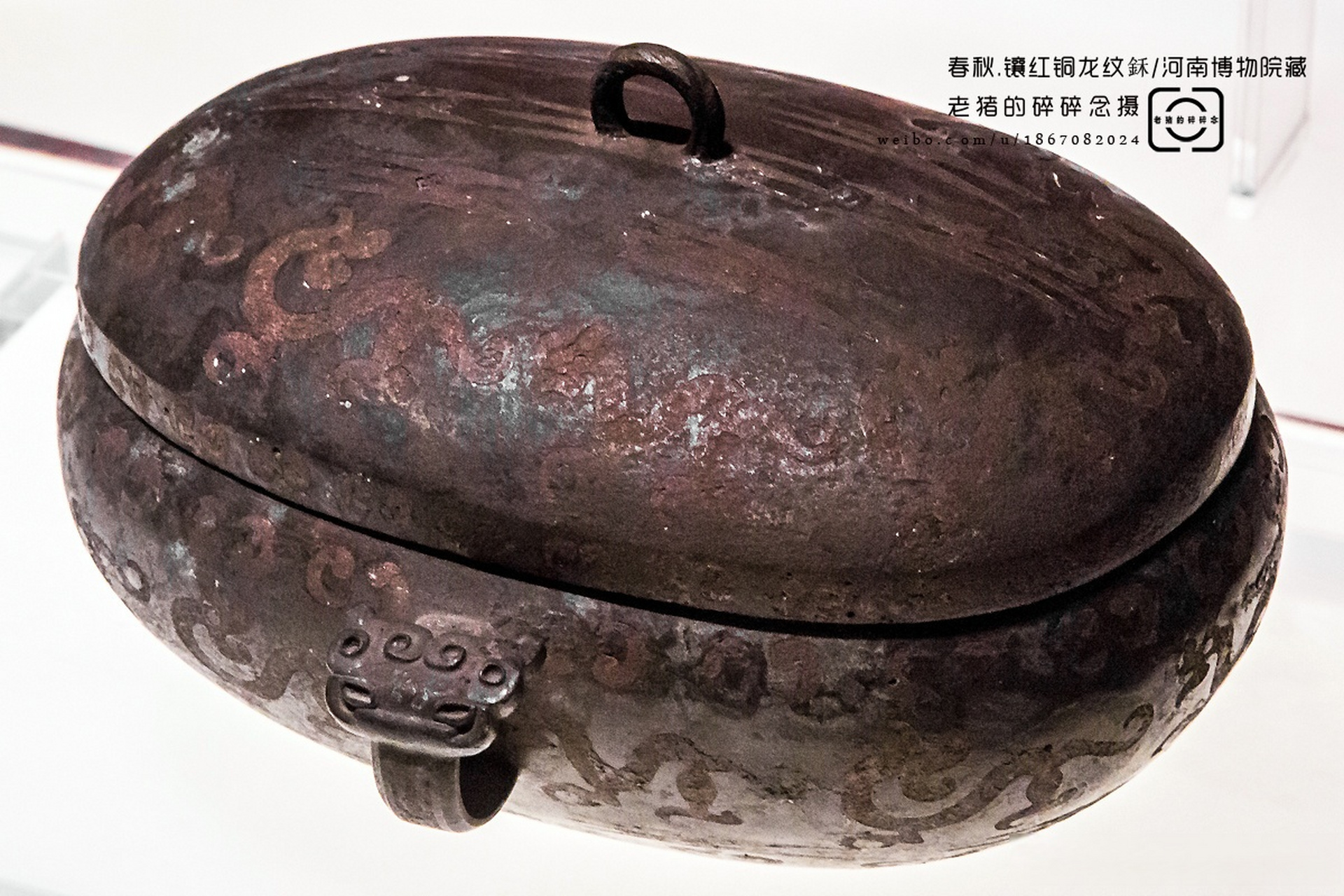 春秋.镶红铜龙纹鉌/ 河南博物院藏 1978年淅川县下寺楚国墓地m2出土