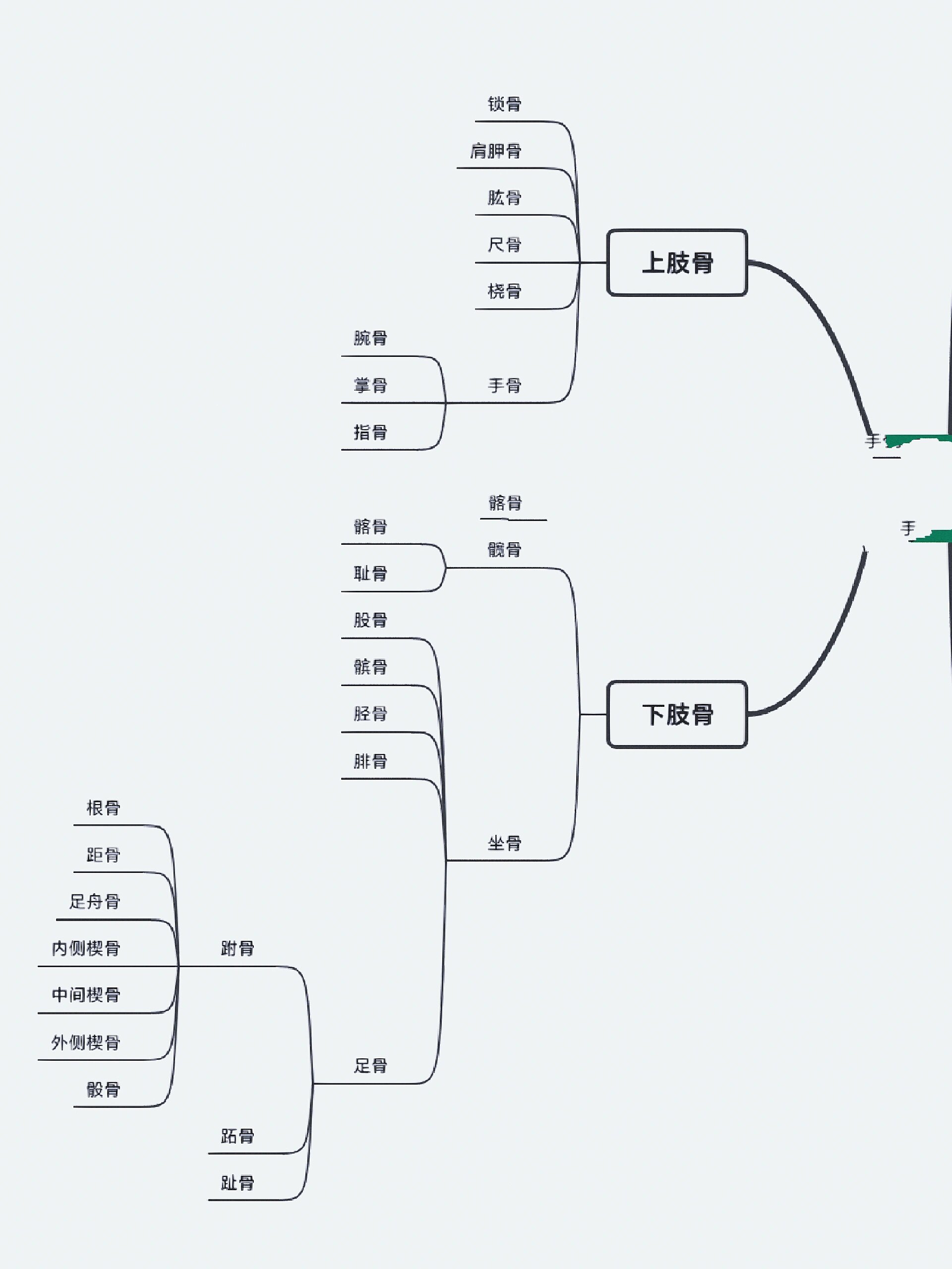 人体组织解剖思维导图图片