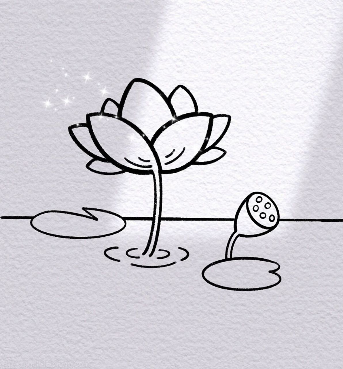 🌟零基础简笔画|荷花步骤图