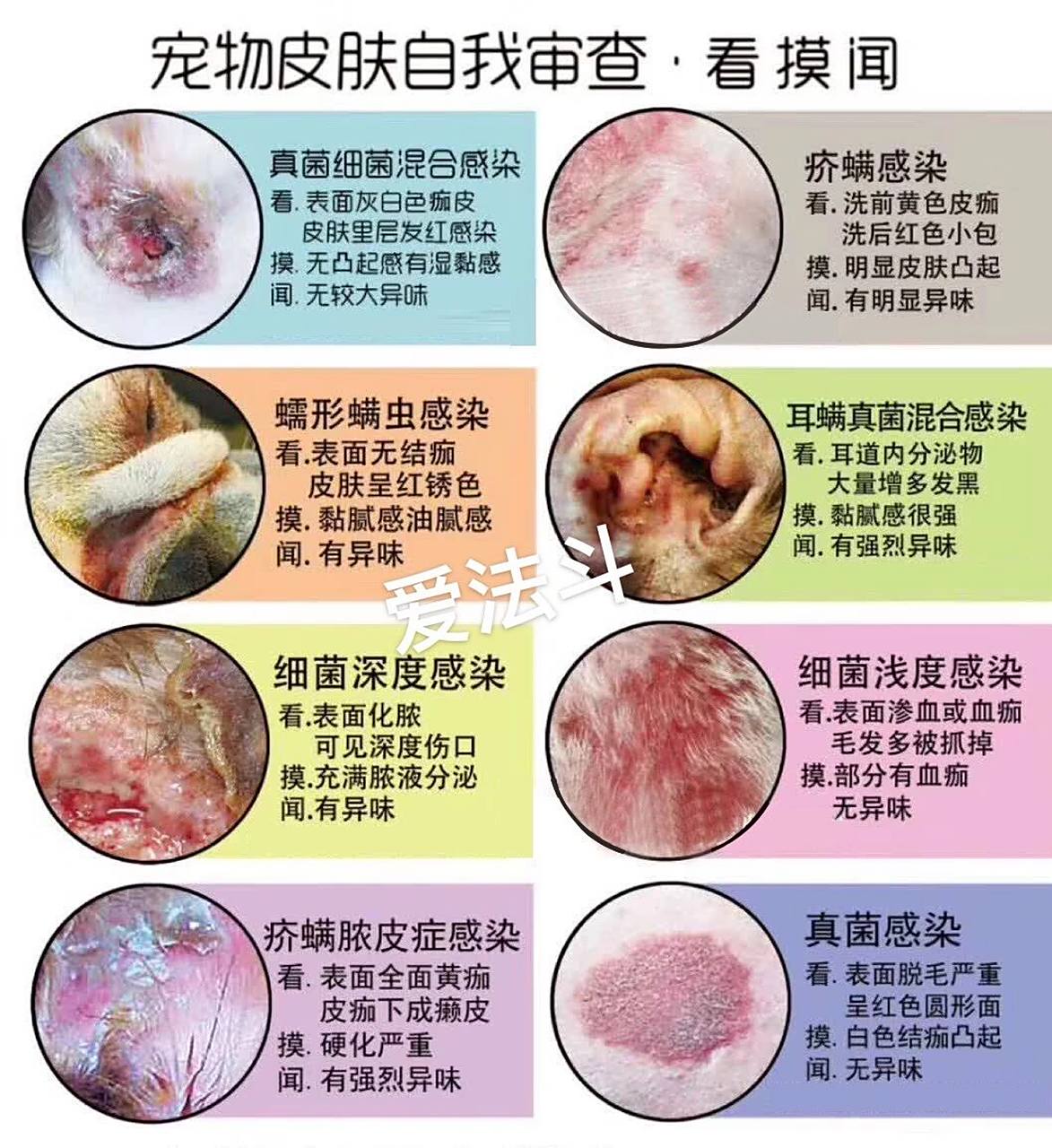 刺激剂,过敏物质,细菌,真菌,寄生虫等(在宠物店 洗澡身上出现红点很痒