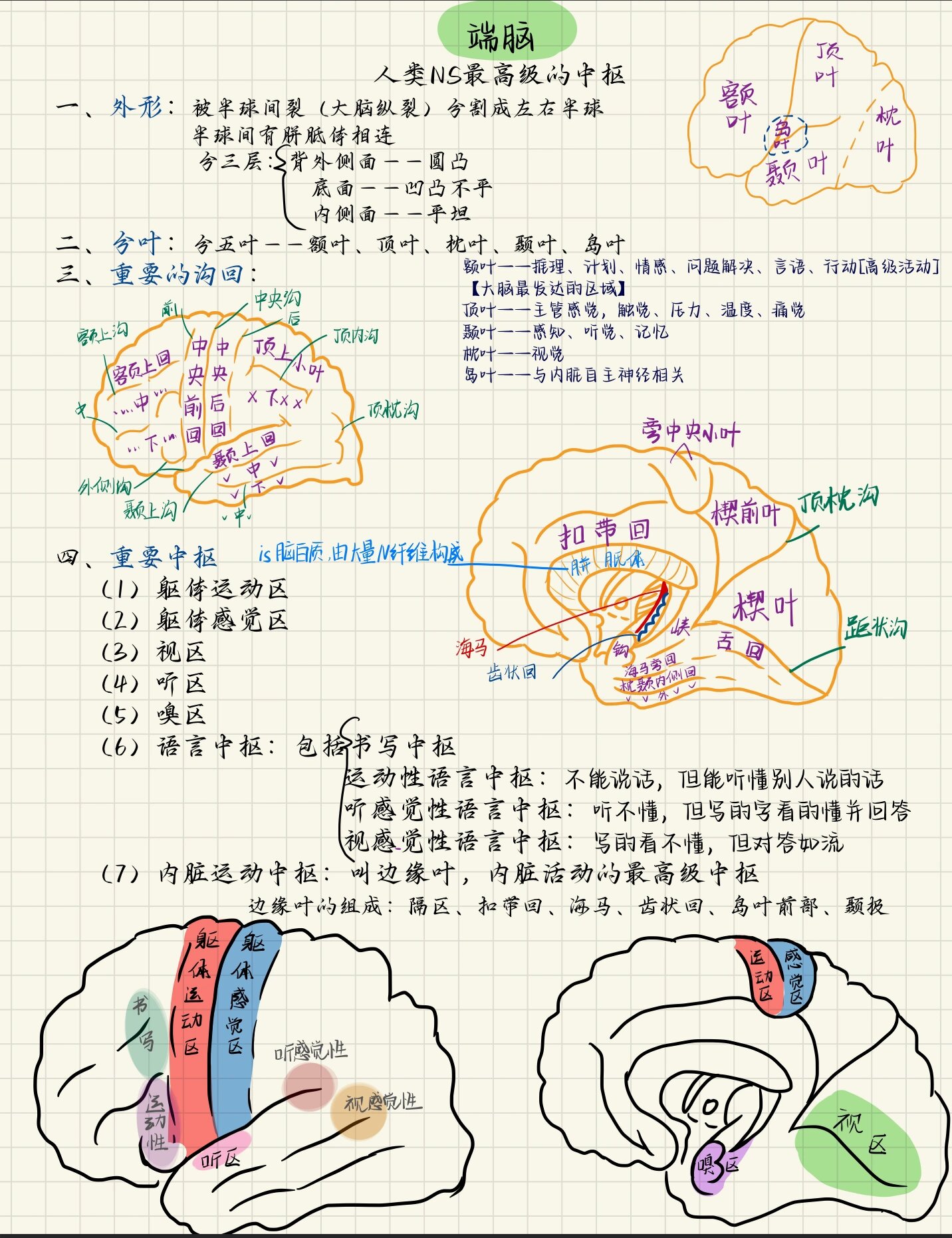 内囊损伤图片