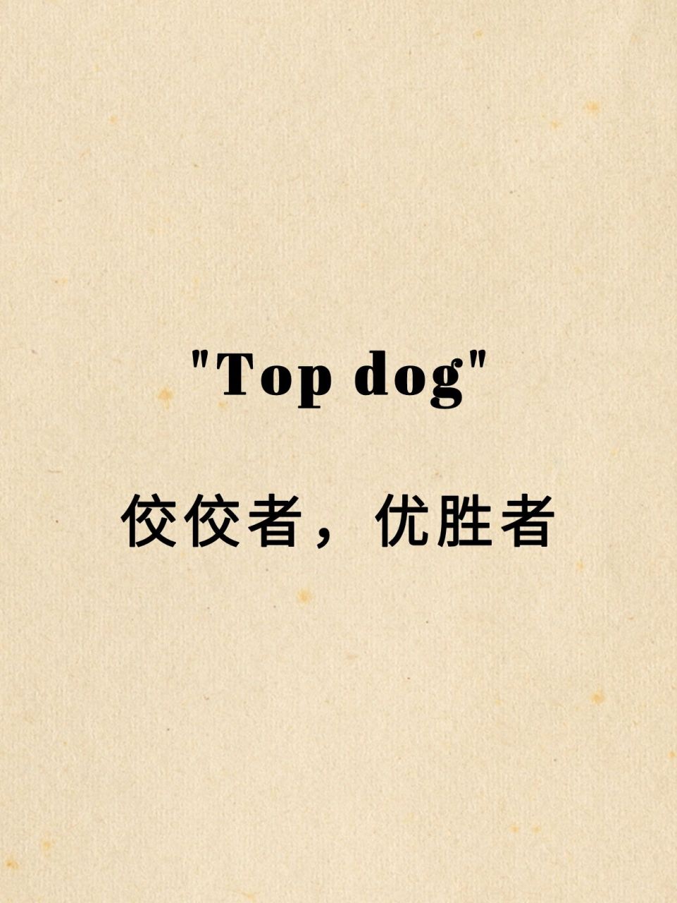 98大家看到"top dog"这个单词,第一反应是什么意思?