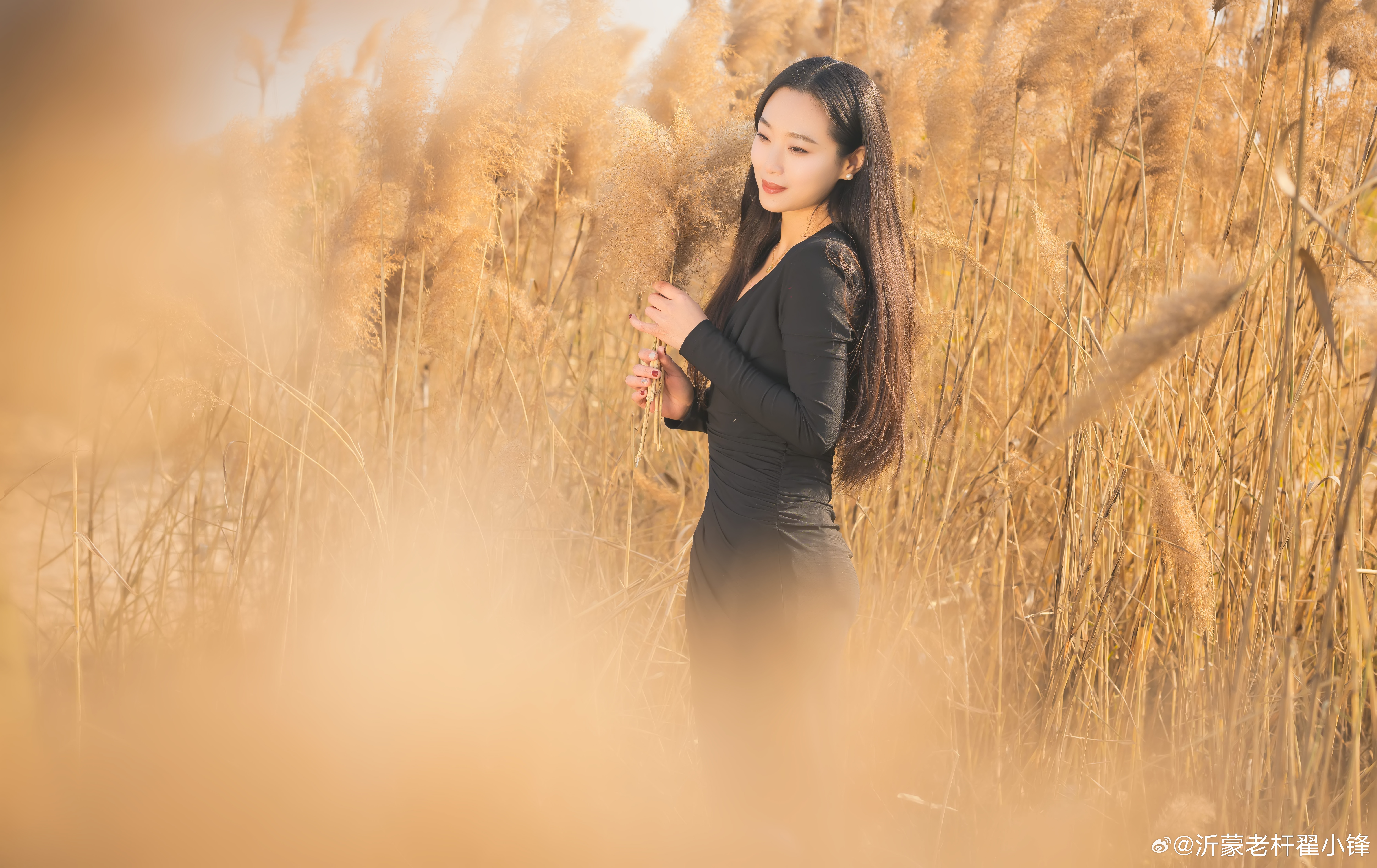 所谓伊人,在水一方