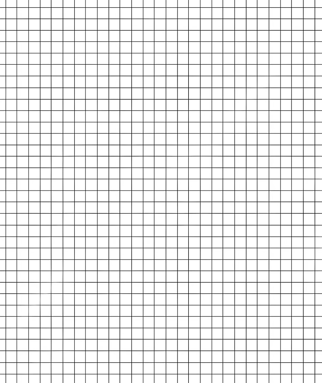 格子纸(可打印) 格子纸(可打印)