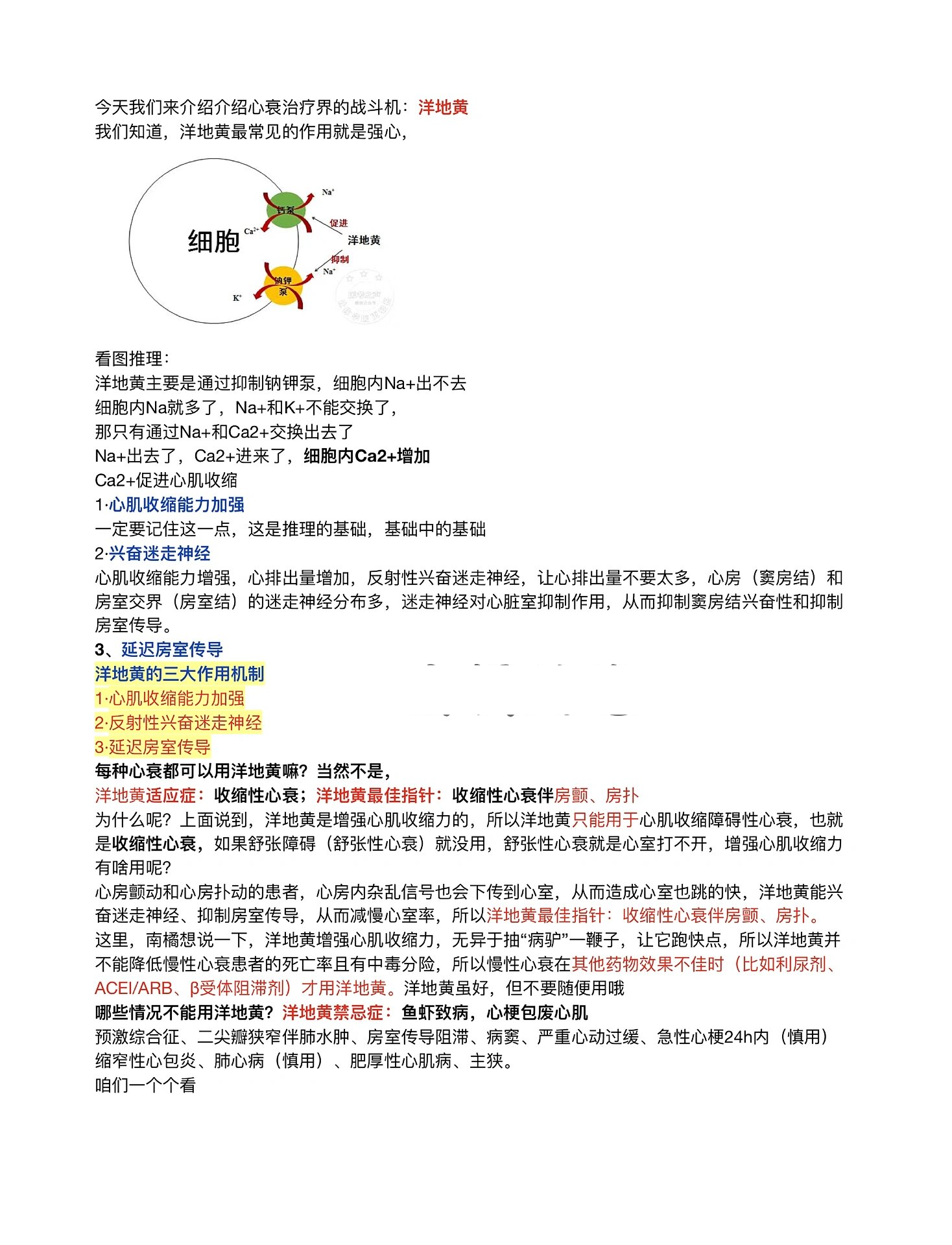 洋地黄的功效与作用及药用价值