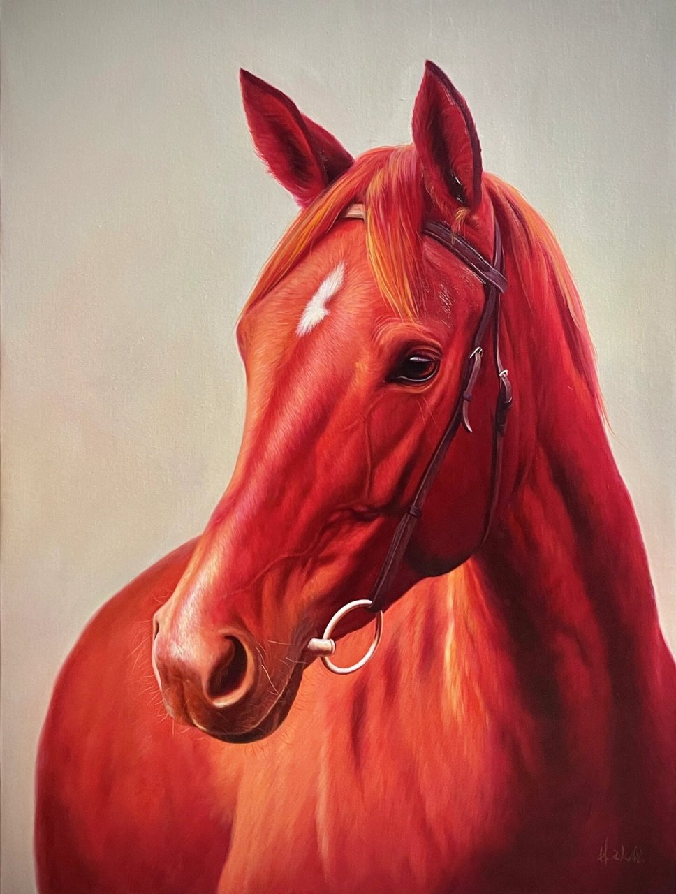 你能说出红马的寓意吗?