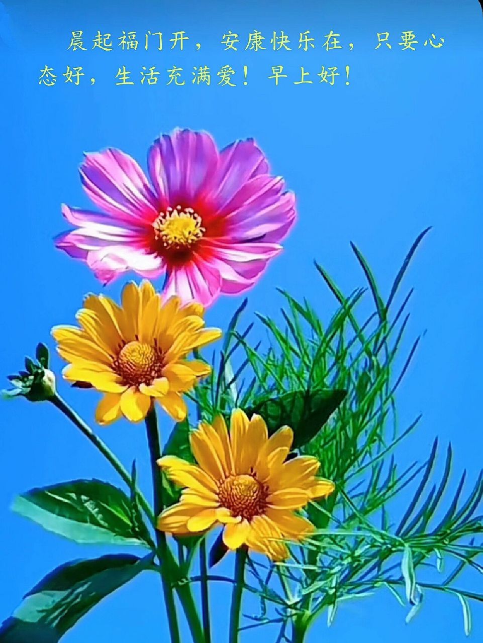 朋友圈早安问候文案图片 晨起福门开,安康快乐在,只要心态好,生活充满