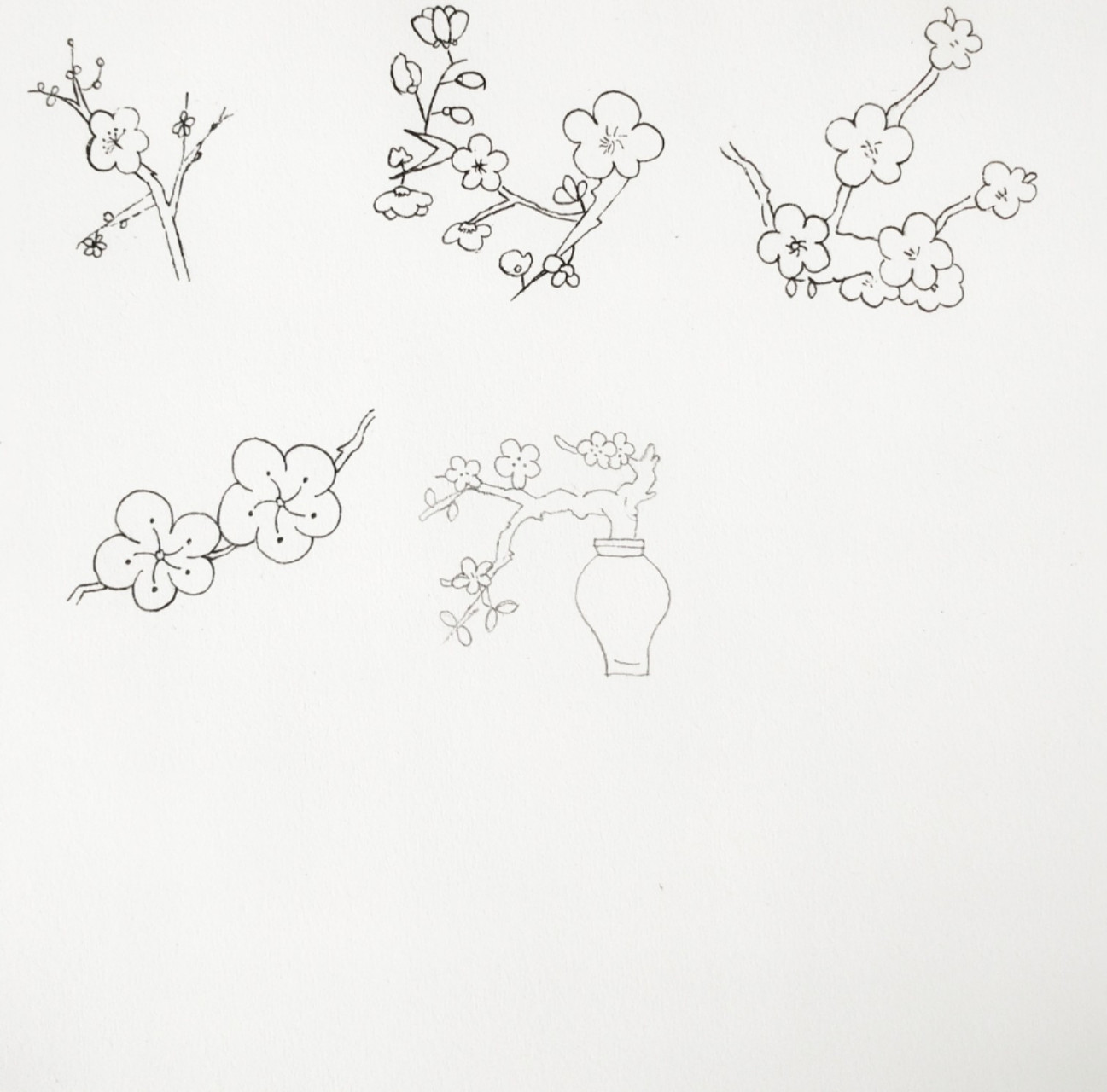 【简笔画】梅花94 高产的一天 有空就画起来 加油7099 工具