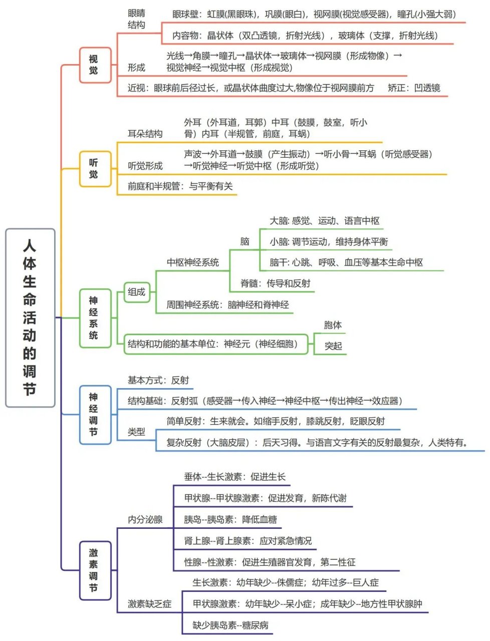 人体生命活动思维导图图片