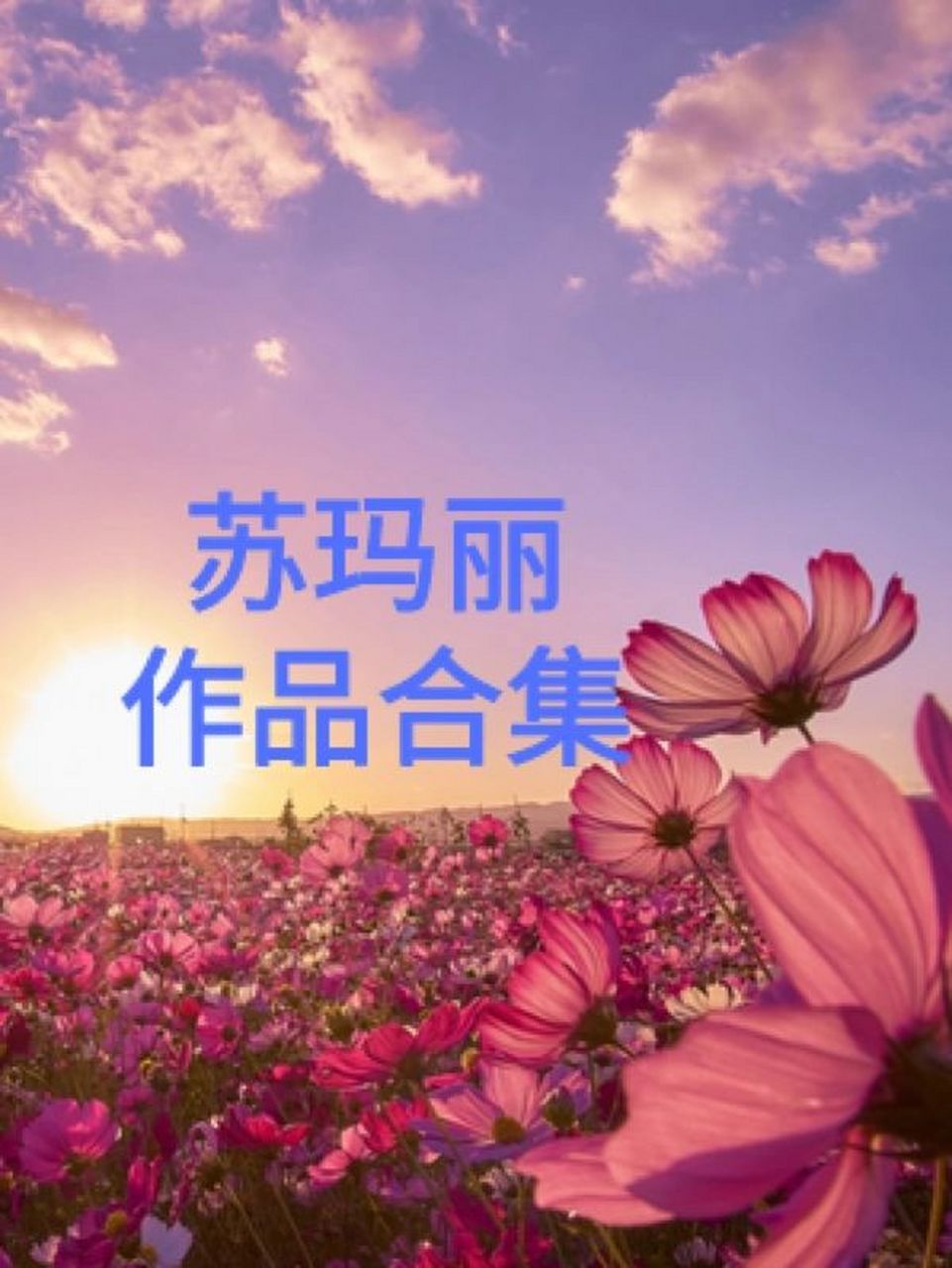 推荐适合周末看的苏玛丽作品合集!绝绝子