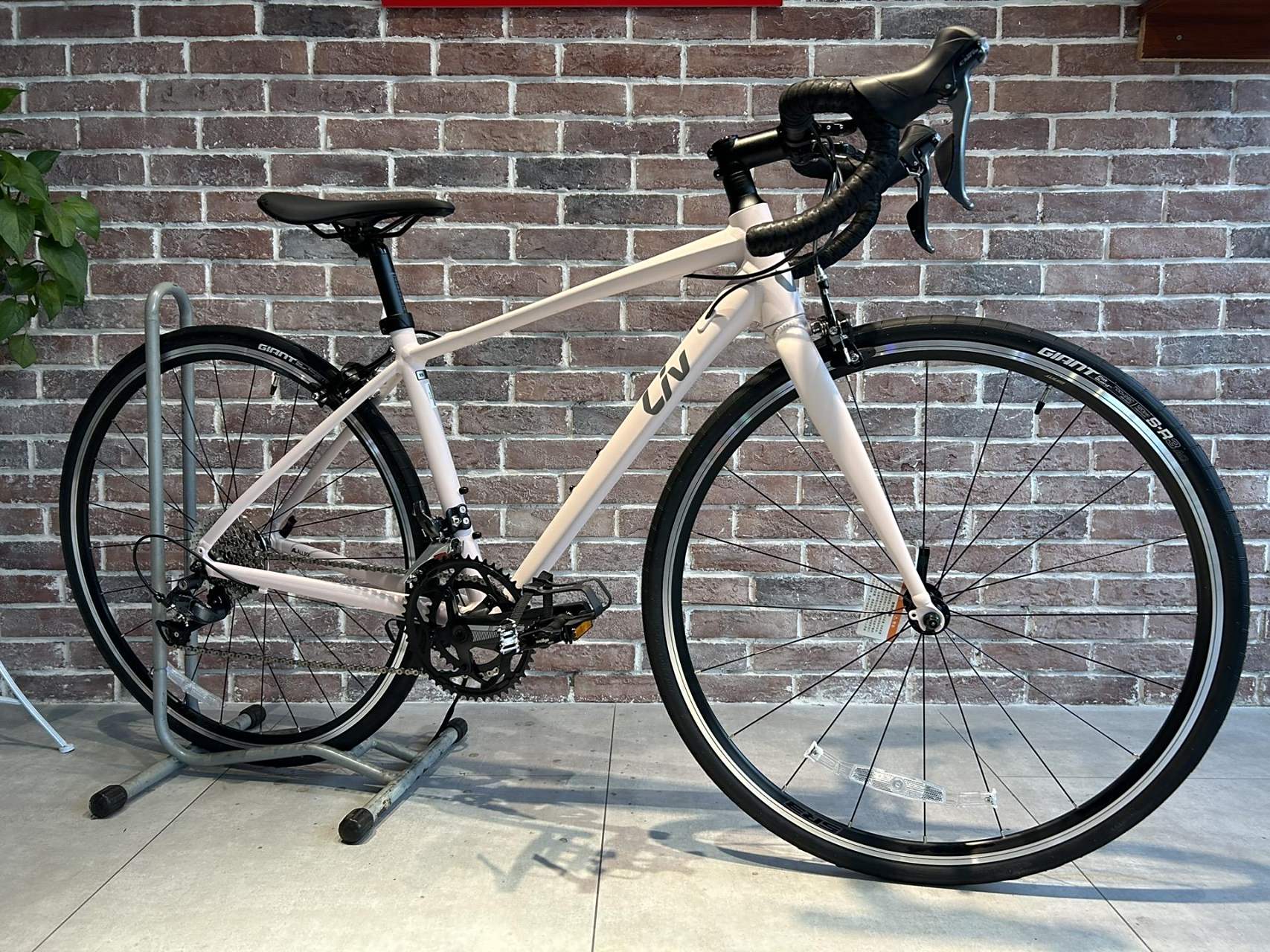 捷安特liv avail 3//女生一定要看的入门级公路车,其reach和stack值比