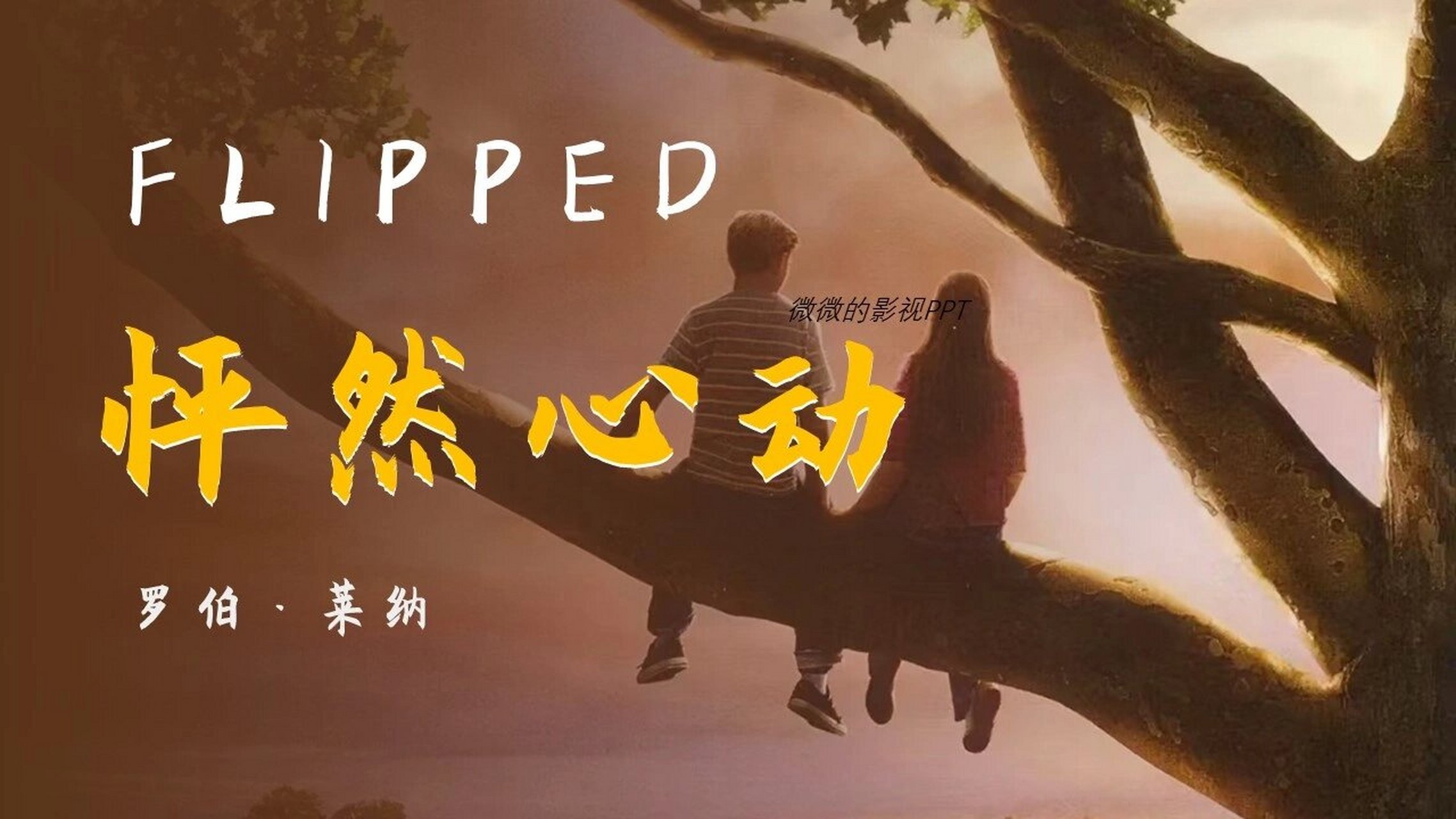 004高级感影视ppt|《怦然心动》观影分享 94《怦然心动》 7199