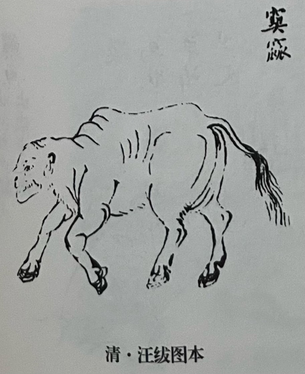 《山海经》中的异兽(窫窳) 《山海经》中记载:少咸山中有一种野兽