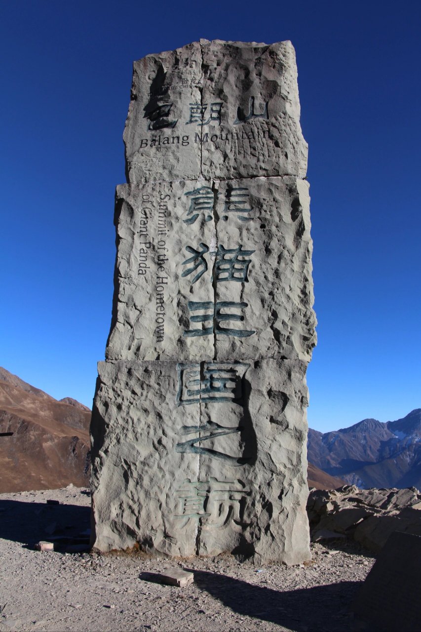 巴朗山熊猫王国之巅 12月下旬