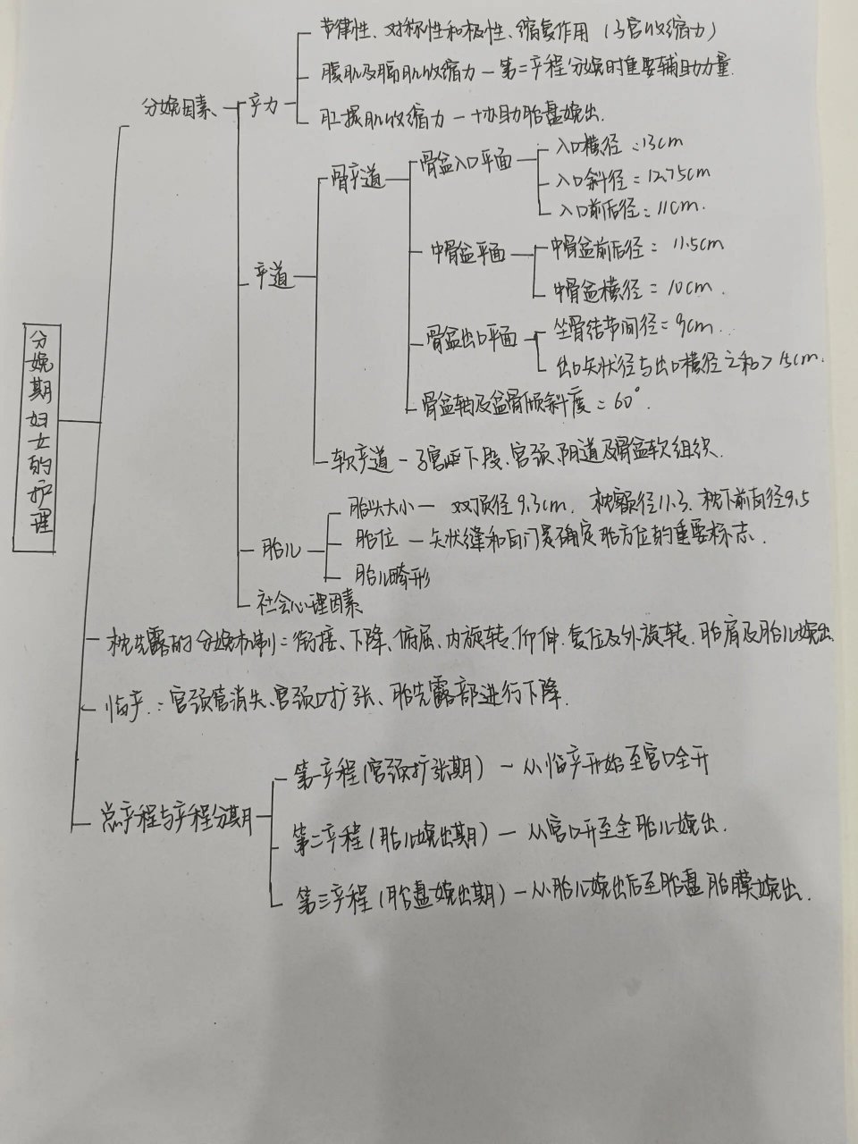 妇产科护理学 第五章 分娩期妇女的护理 思维导图