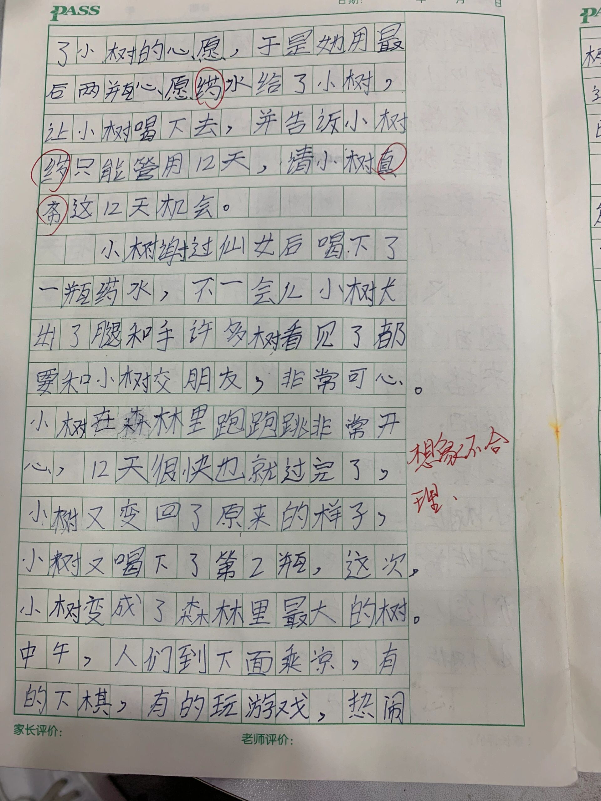 小树的心思300字作文图片