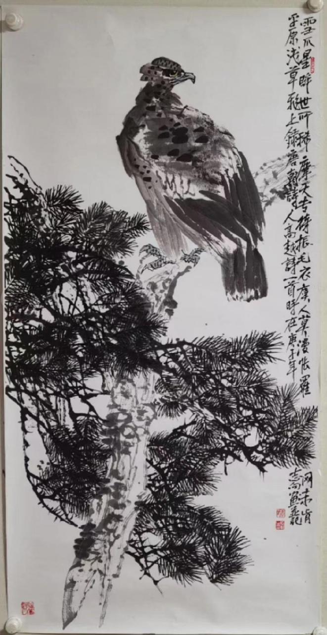 这不是又鸟,是鹰.书画交友 李志向花鸟画水墨写意