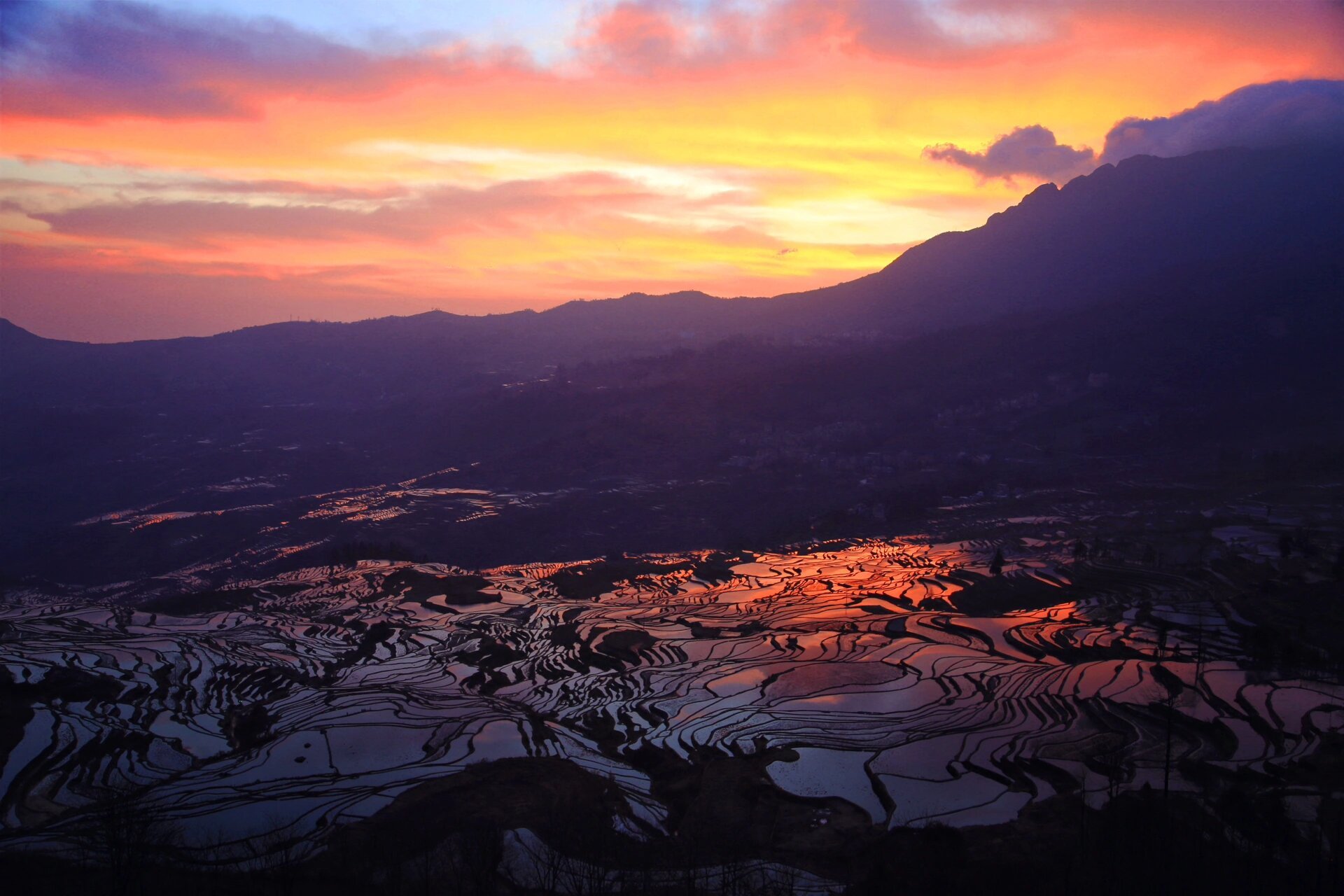 梯田日出 元阳梯田多依树景区是日出最佳观赏点.
