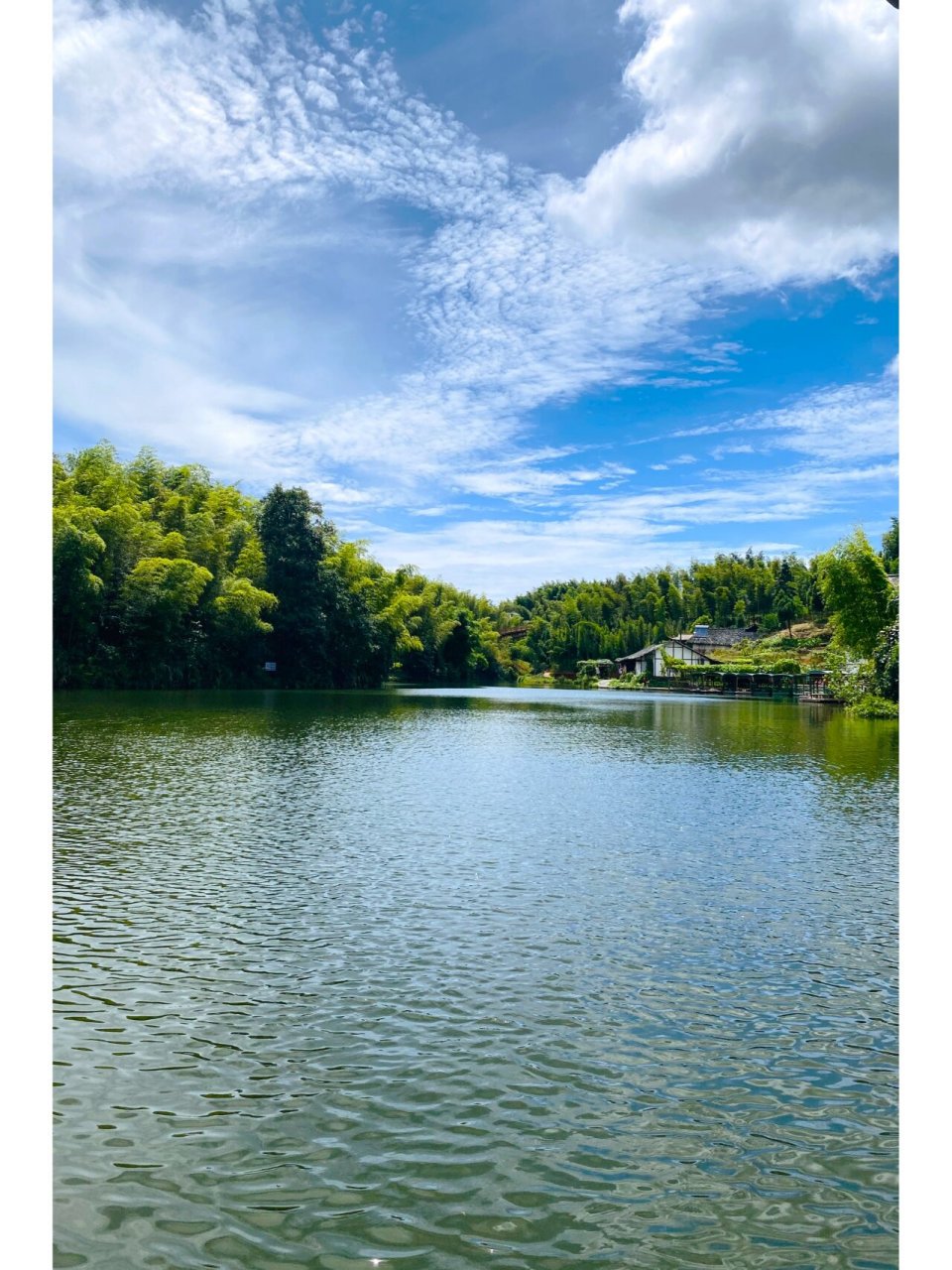 蜀南竹海风景图图片