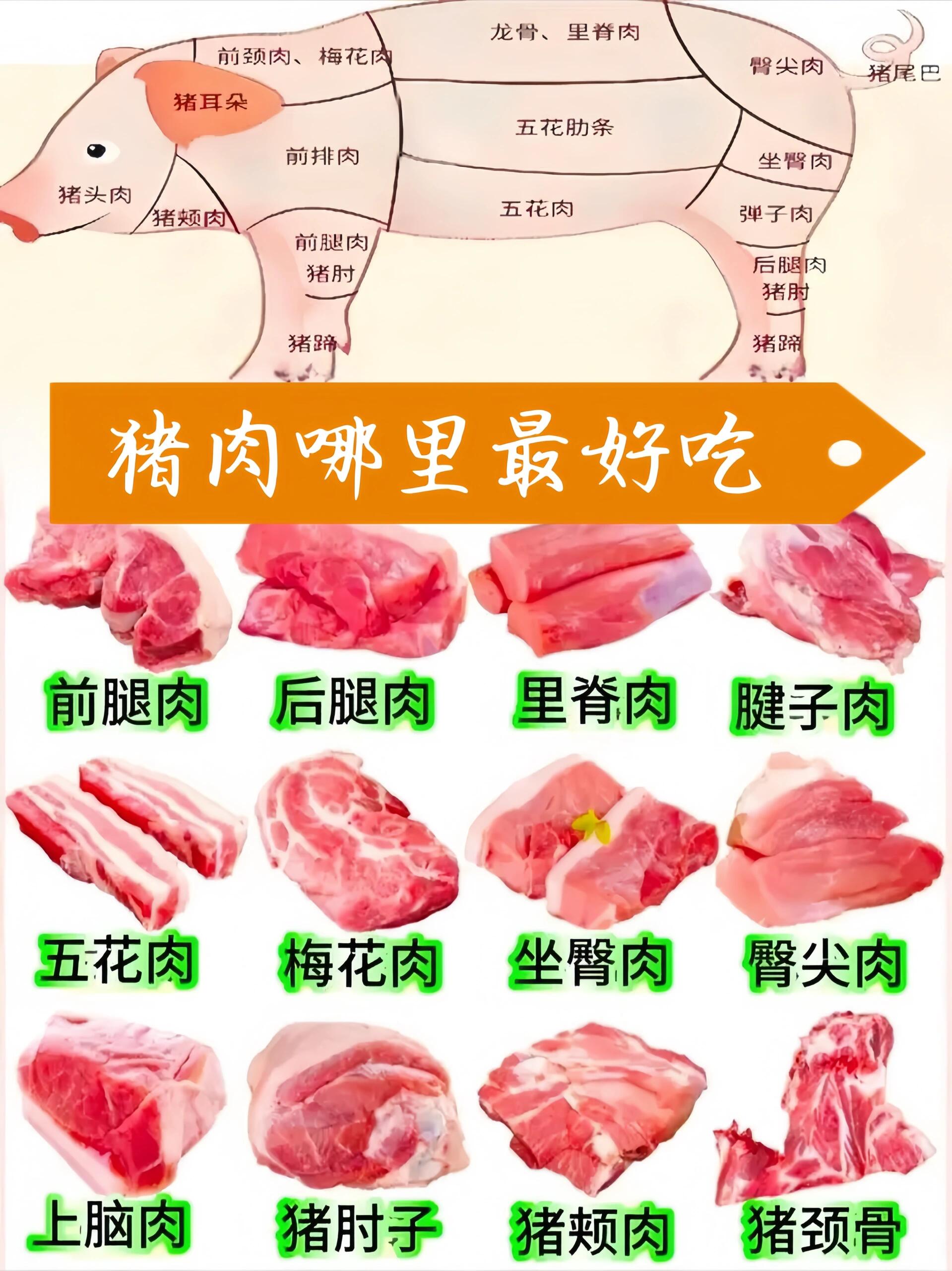 猪肉位置名称大全图片