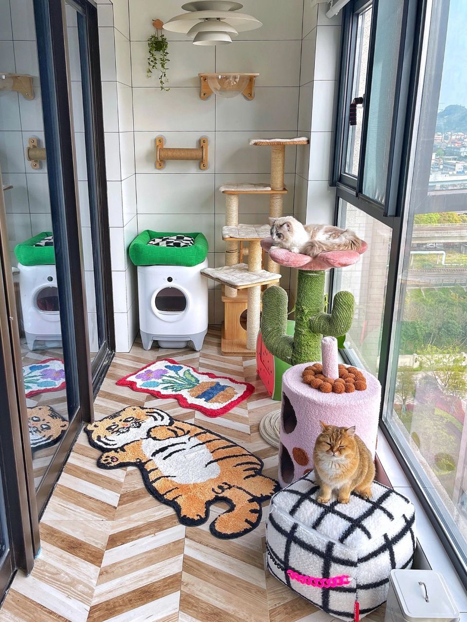我只想说7515阳台养猫92真的香 充分利用阳台的空间 给猫咪布置