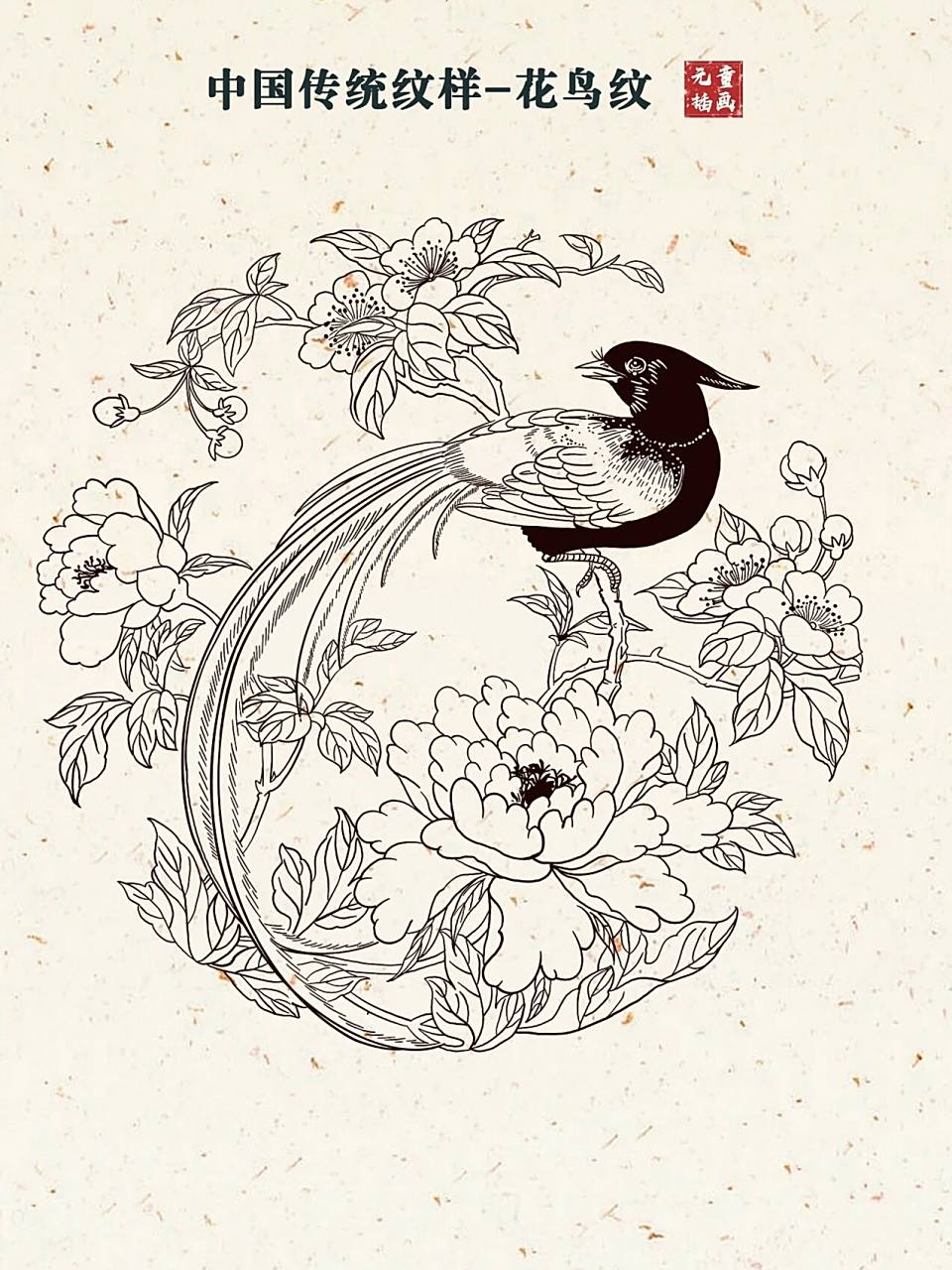 day26 | 中国传统纹样练习-花鸟纹 #线稿# #小红书成长助手# #纹样