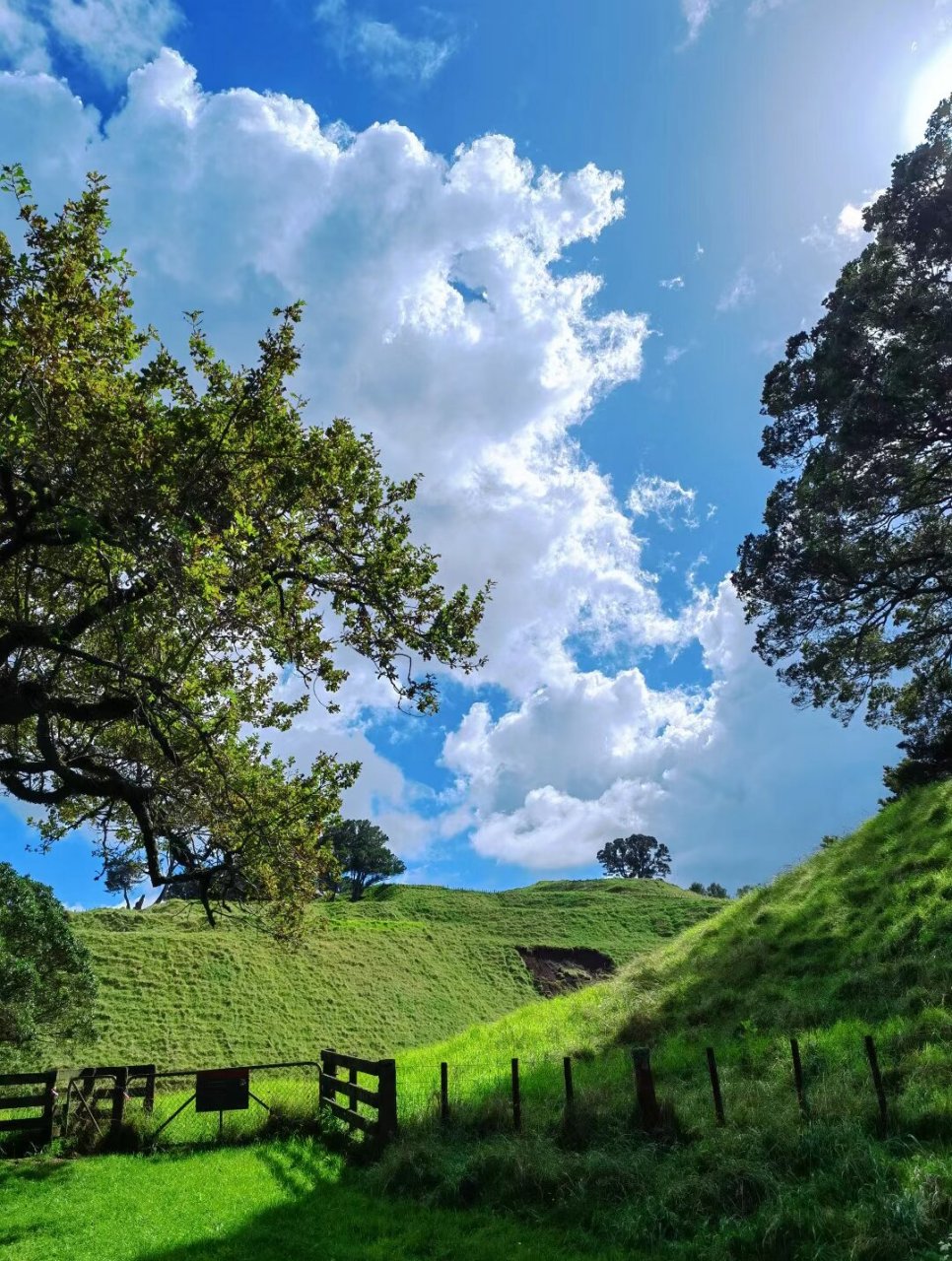 9991奥克兰 |一树山 one tree hill99 · one tree hill (一树