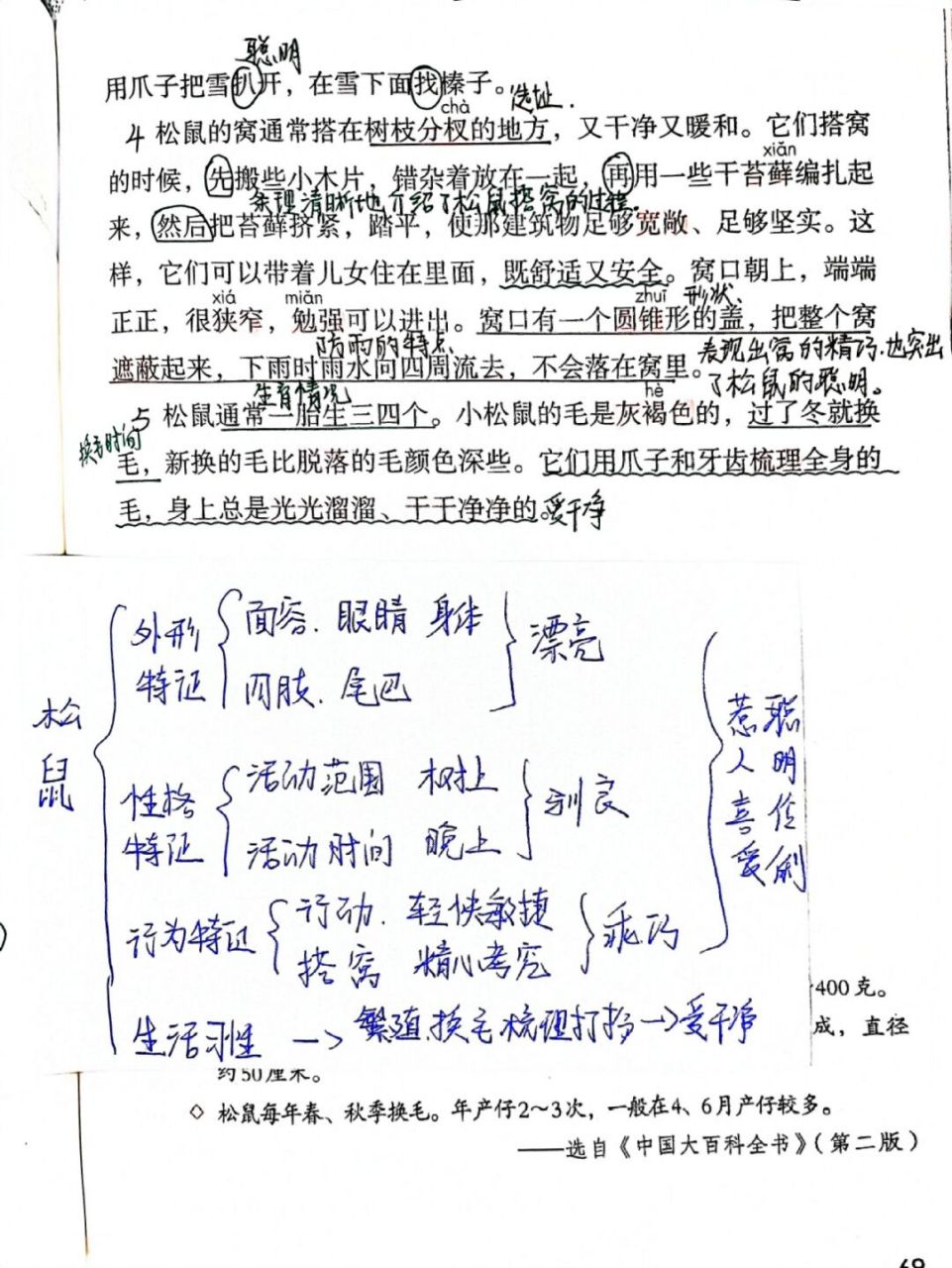 五上语文17课《松鼠》课文批注 #小学语文课堂笔记# #五年级上册语文