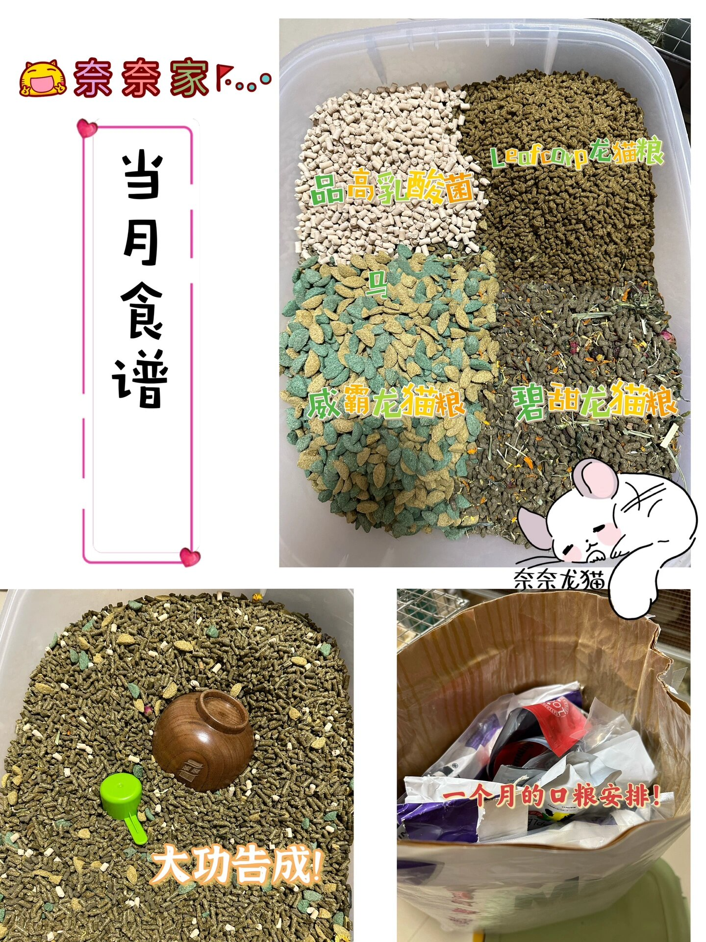 龙猫食谱分享 很多小伙伴都来问奈奈家龙猫吃什么 可以吃得那么 ?(?