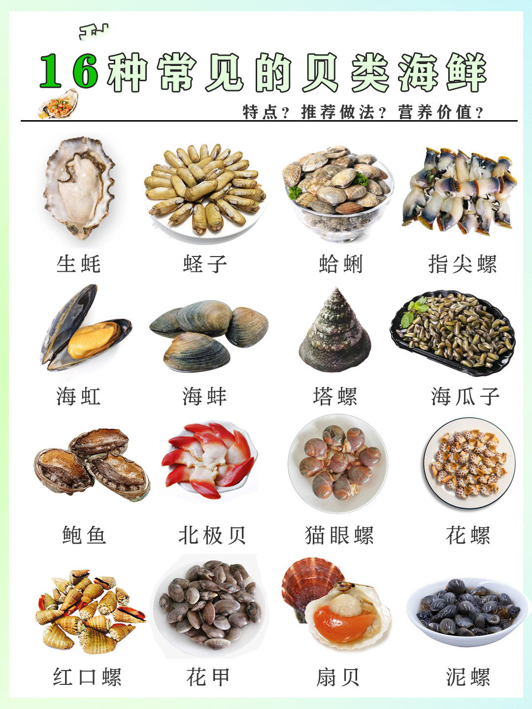 常见的贝类海鲜有哪些