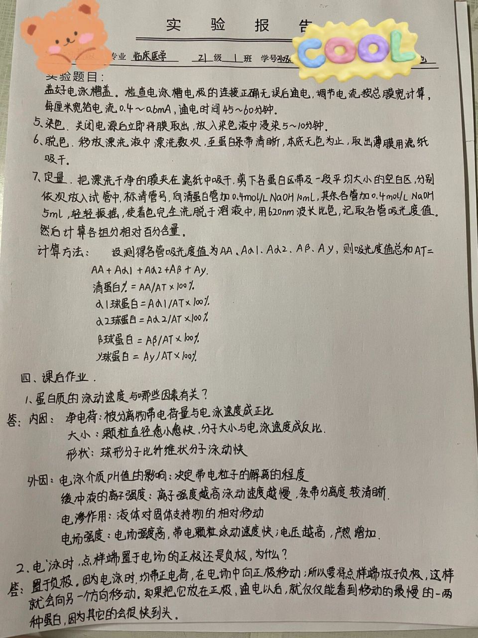 醋酸纤维素薄膜电泳实验报告 又又又是一次实验报告,好久没有发实验