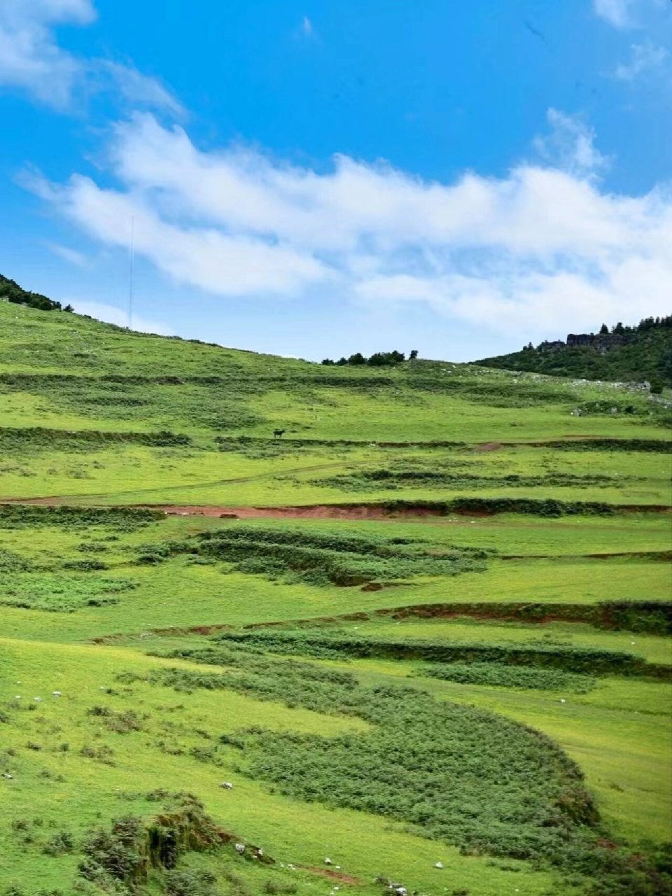 昆明小草原 | 么波冲,一眼万年的地方7215 么波冲92一个看一眼