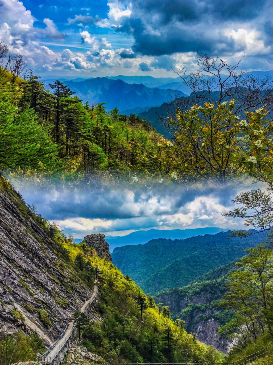 登秦岭之巅览华夏龙脉93朱雀森林公园一日 来啦来啦 9891朱雀