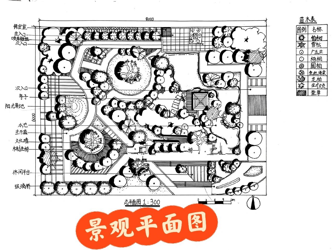 景观平面图 手绘线稿第二弹 学生优秀抄绘平面图,来自大一学生的实力