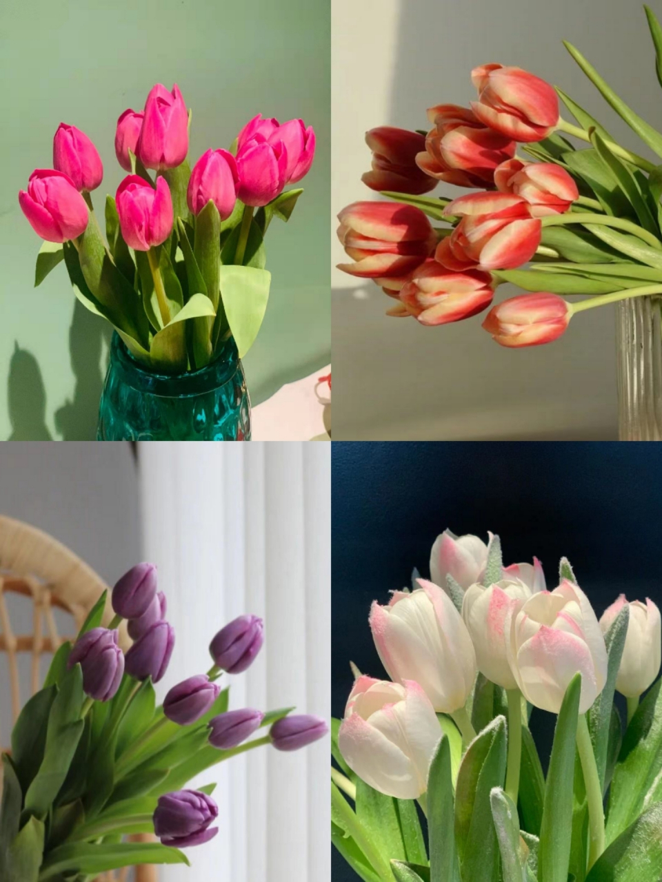 郁金香·花语 今天我们一起来学习:95 	 郁金香(学名:tulipa gesner