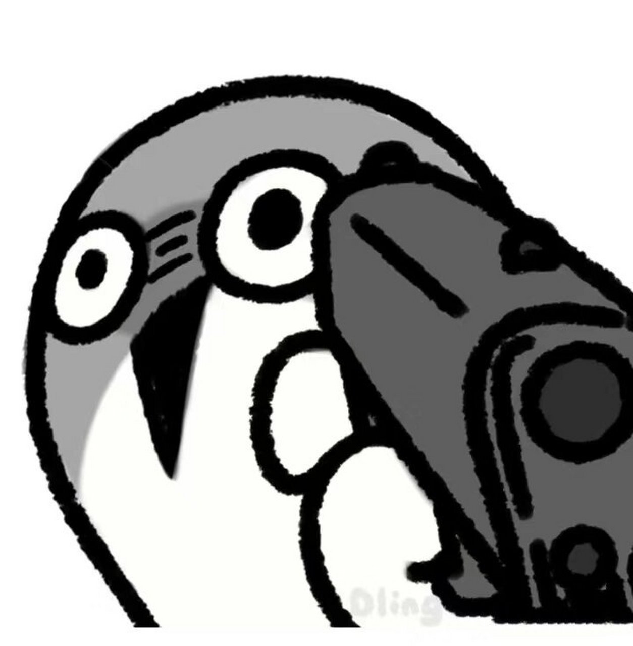 可爱头像9797 萨卡班甲鱼萨卡班甲鱼的粉丝们赶紧收藏起来