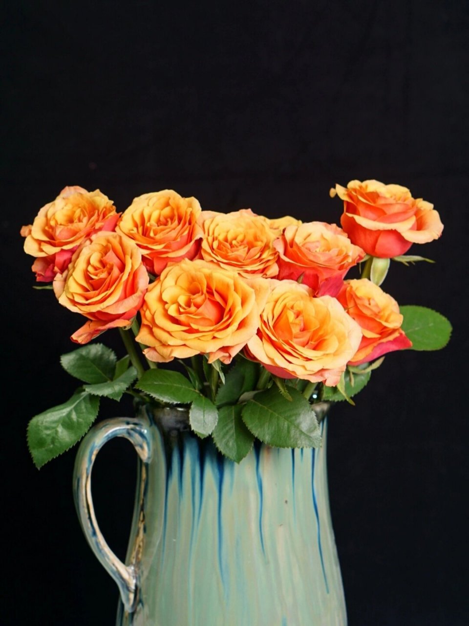 热情西班牙(伊思班纳)|易开的火焰 热情西班牙玫瑰 又称伊思班纳玫瑰