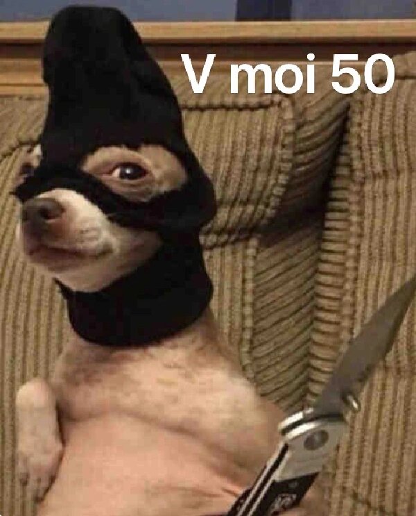 一些鬼迷日眼的法语表情包