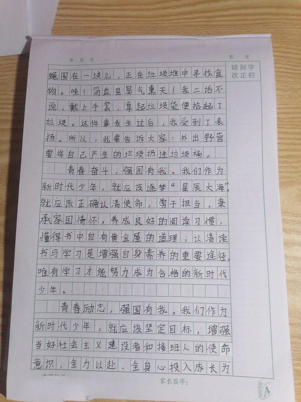 新时代好少年作文500字图片