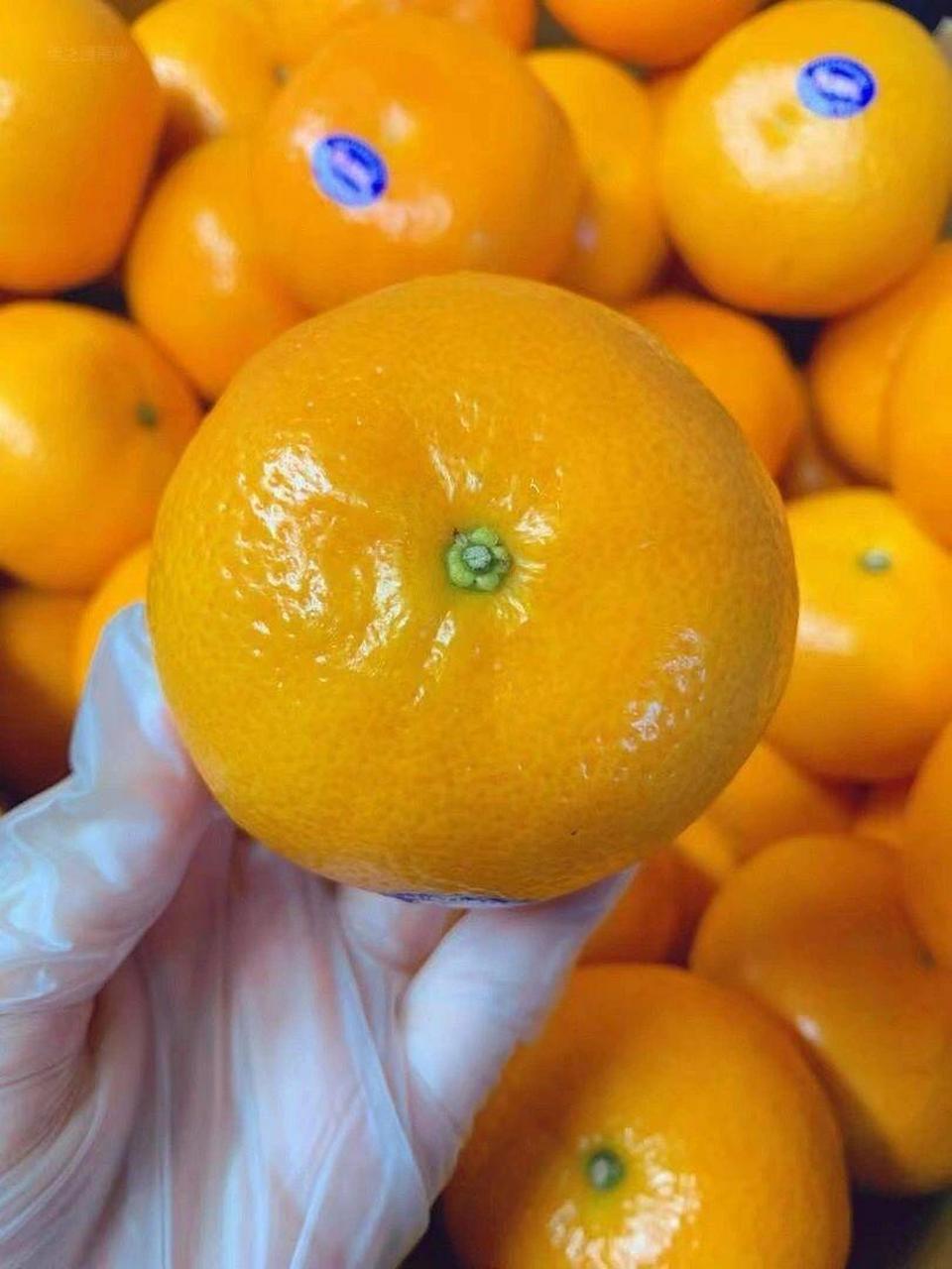 2ph澳橘上新 橘子届的天花板【2ph澳橘】绝对是秋天补水的不二之选