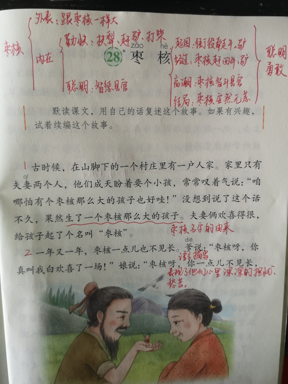 三年级下册语文28《枣核》