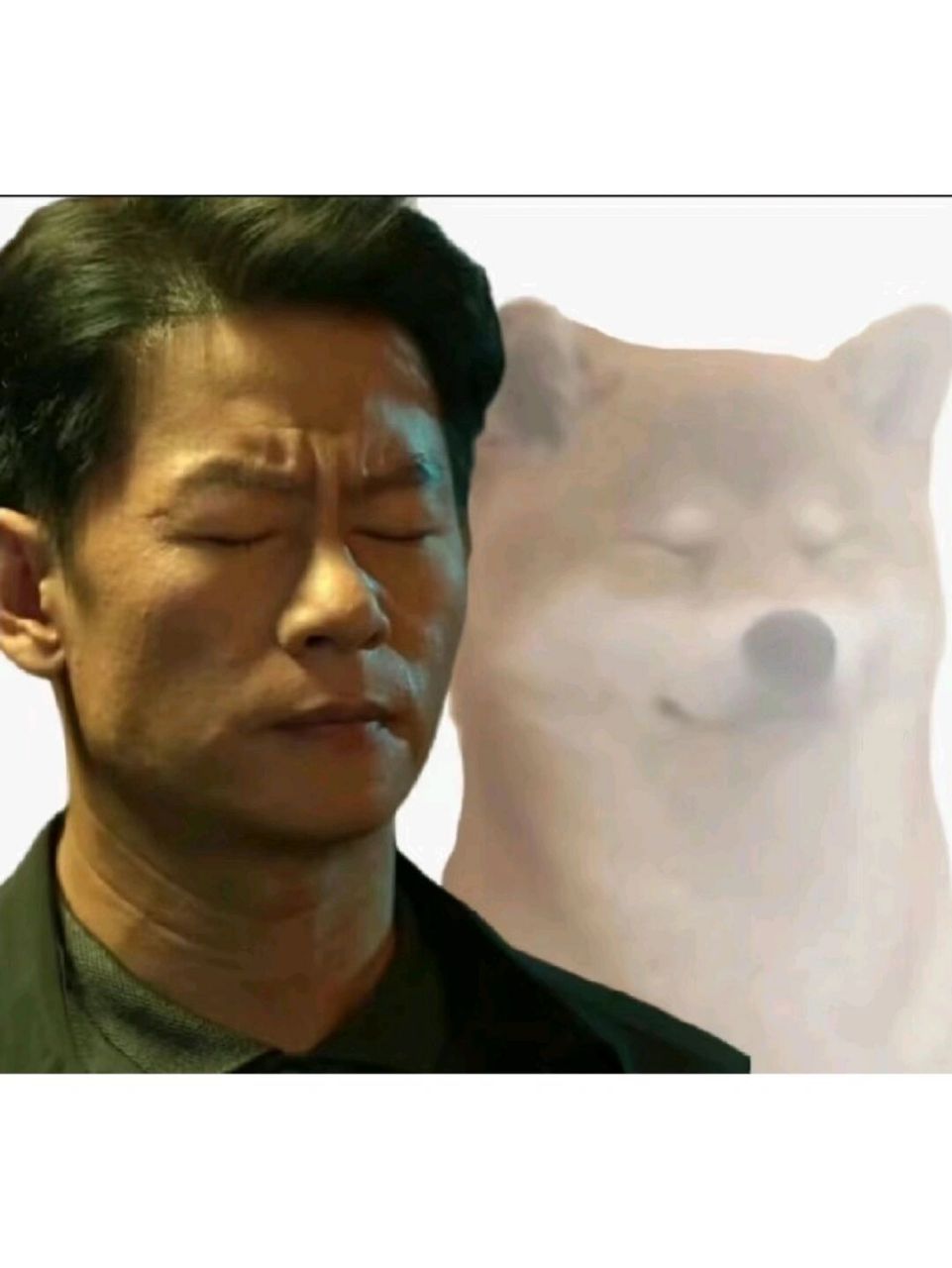 救命这个表情包谁做的啊哈哈哈哈哈 所以暂时将你眼睛闭了起来