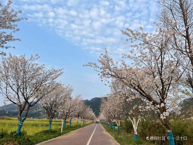 金海雪山四季花谷门票图片