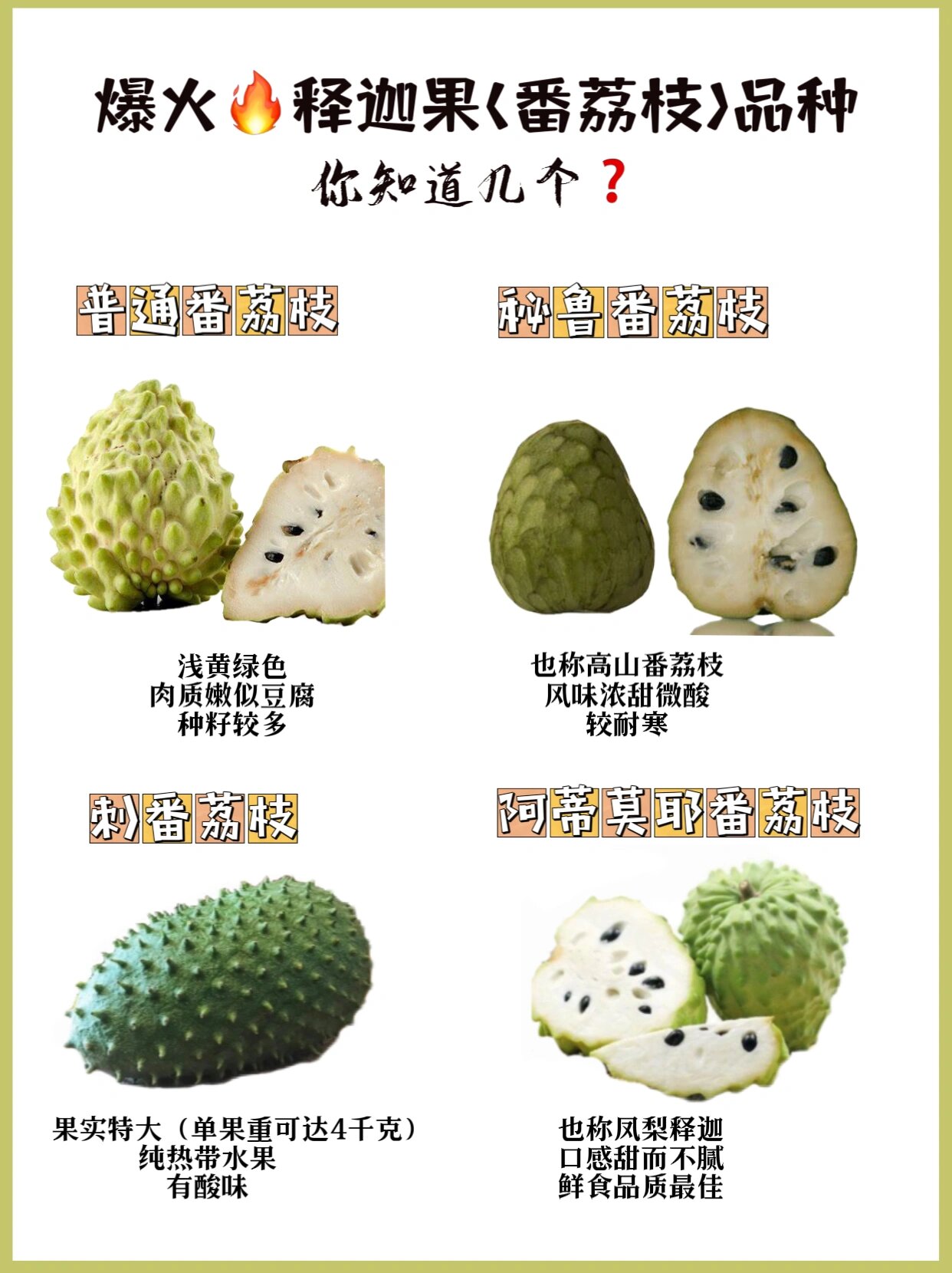 释迦果也叫佛头番荔枝