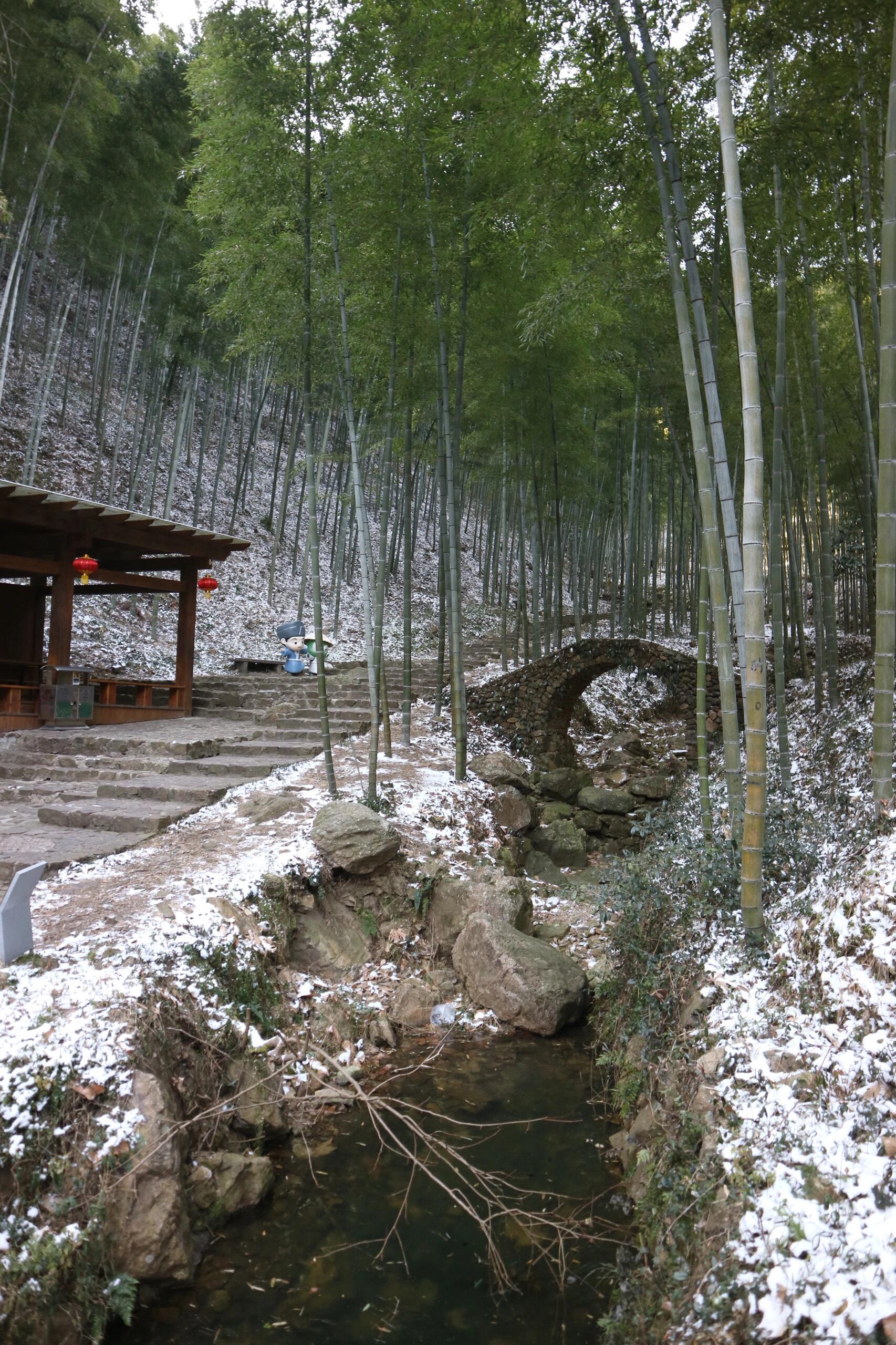 信宜竹海风景区图片