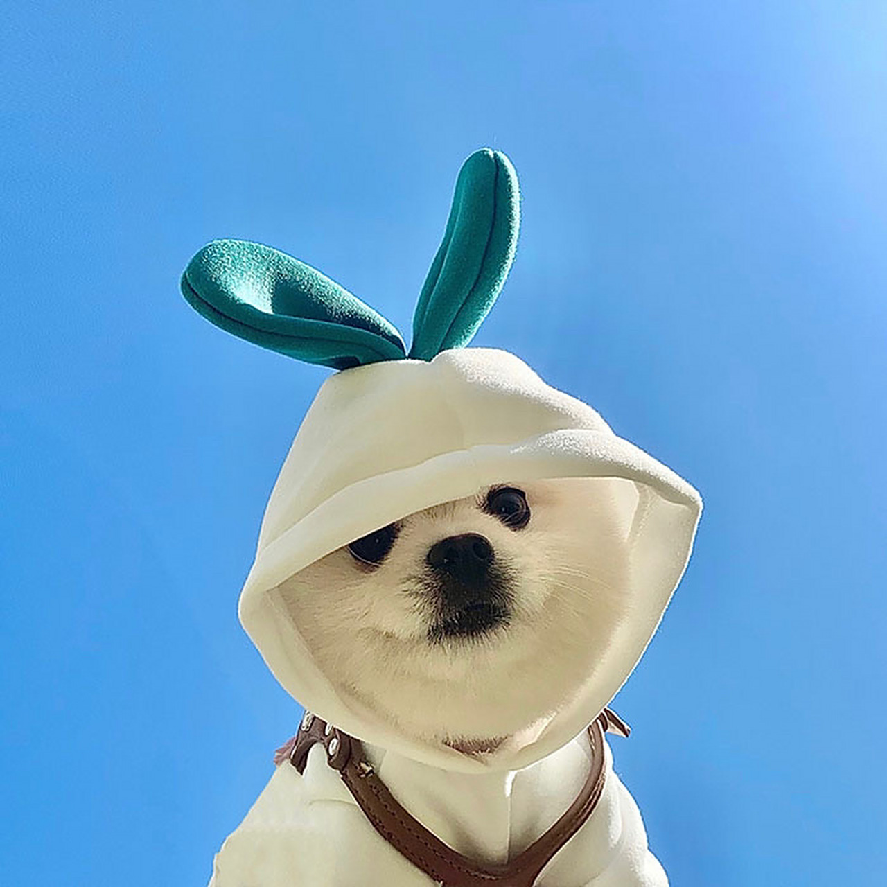 男生头像干净阳光7715 分享一组干净阳光的男生头像