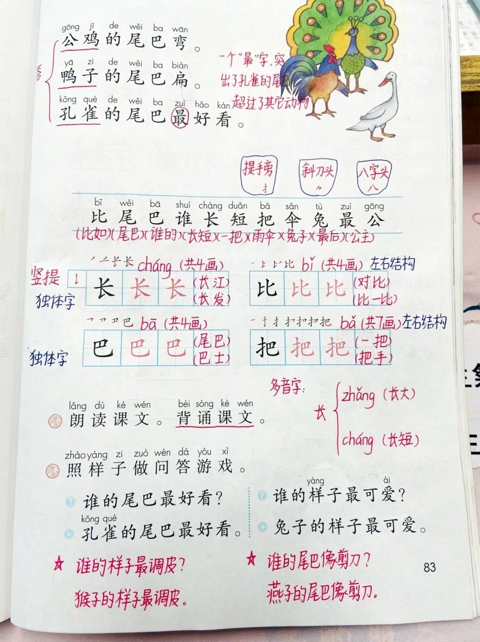 一年级上《比尾巴》课堂笔记 教学目标:通过课文和插图认识不同动物有